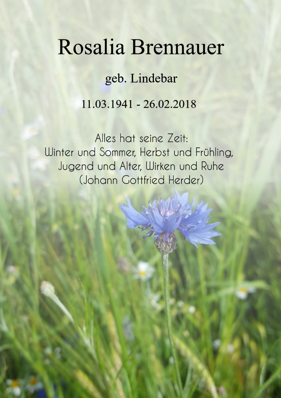Traueranzeige von Rosalia Brennauer