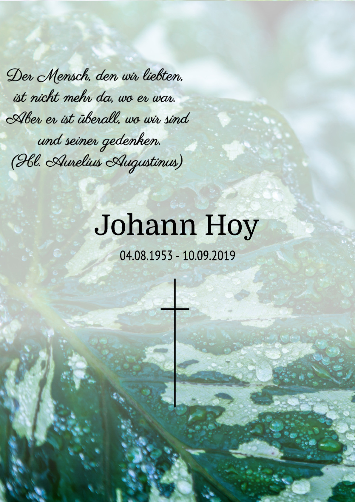 Traueranzeige von Johann Hoy