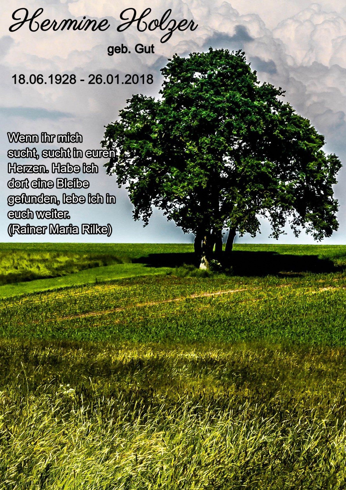Traueranzeige von Hermine Holzer