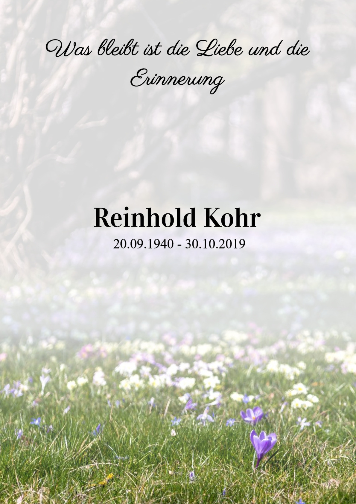 Traueranzeige von Reinhold Kohr