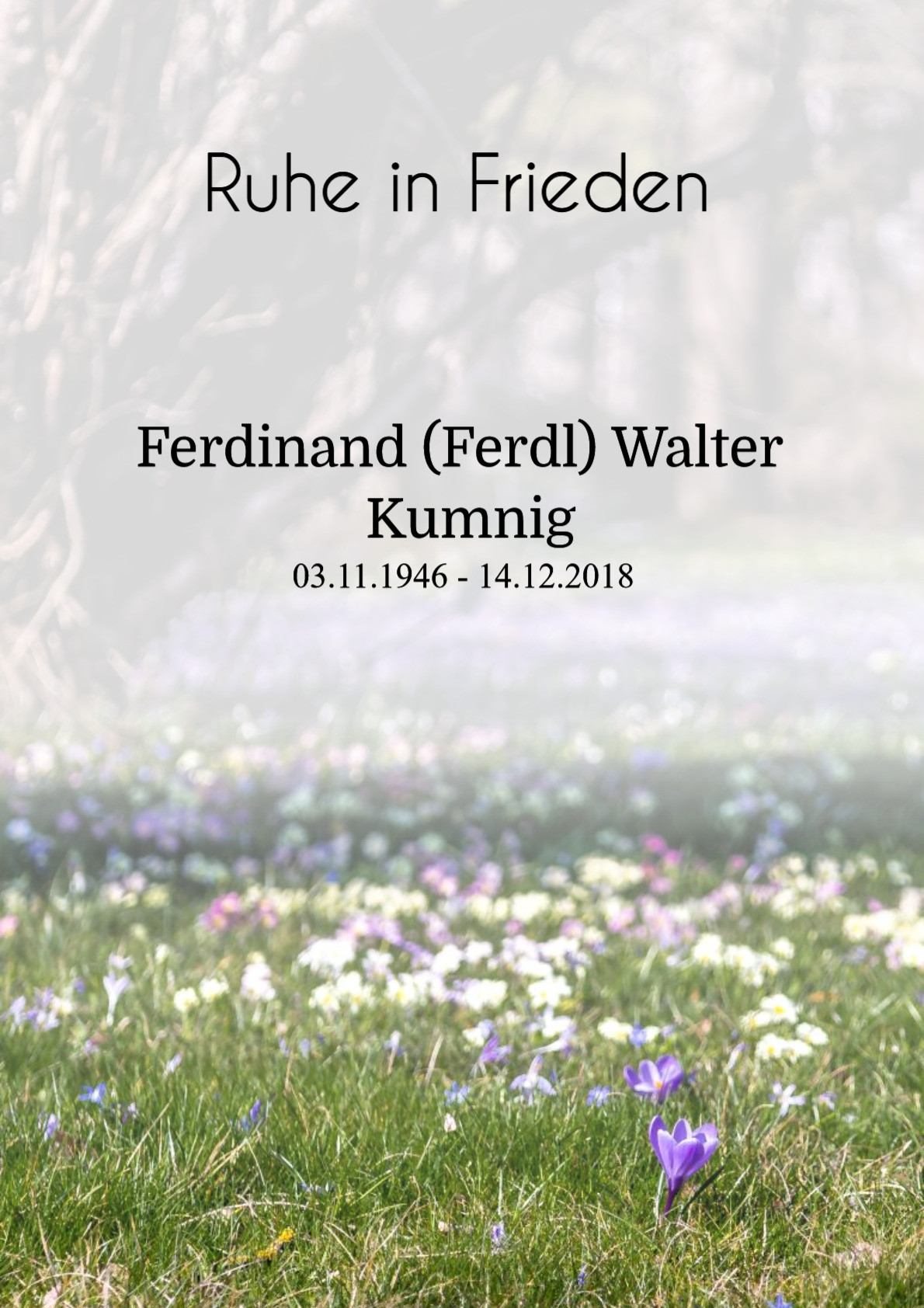 Traueranzeige von Ferdinand (Ferdl) Walter Kumnig