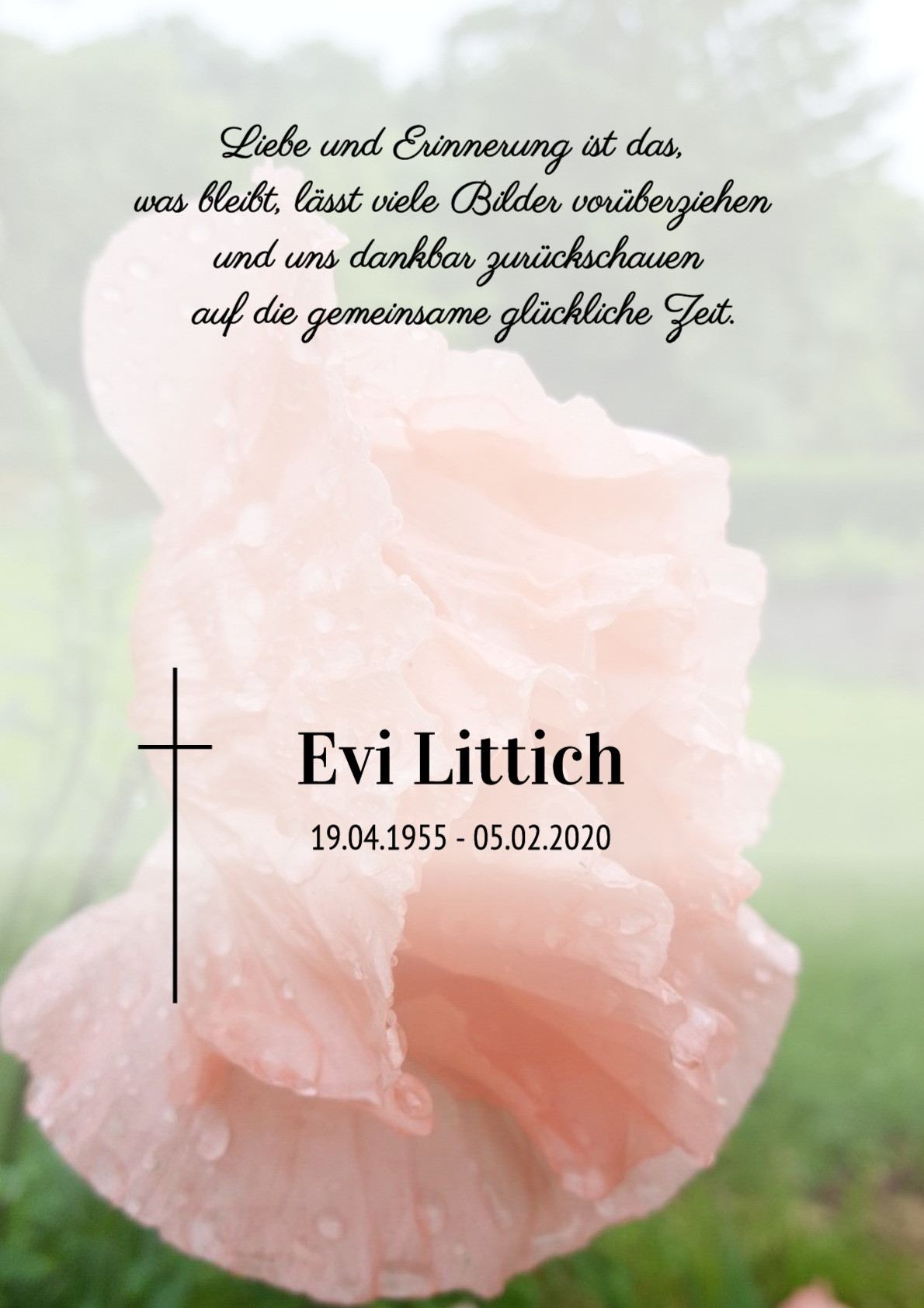 Traueranzeige von Evi Littich
