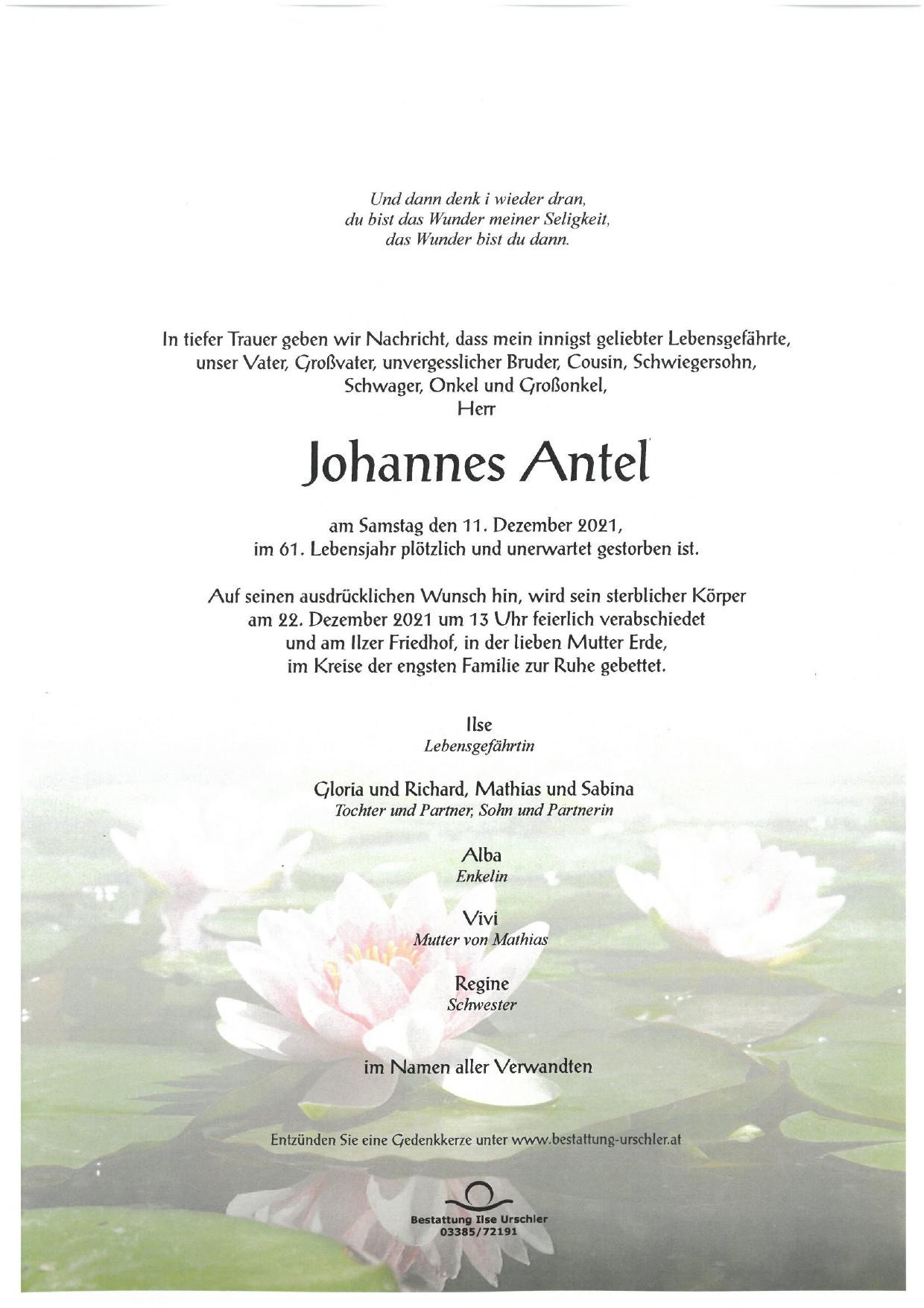 Traueranzeige von Johannes Antel
