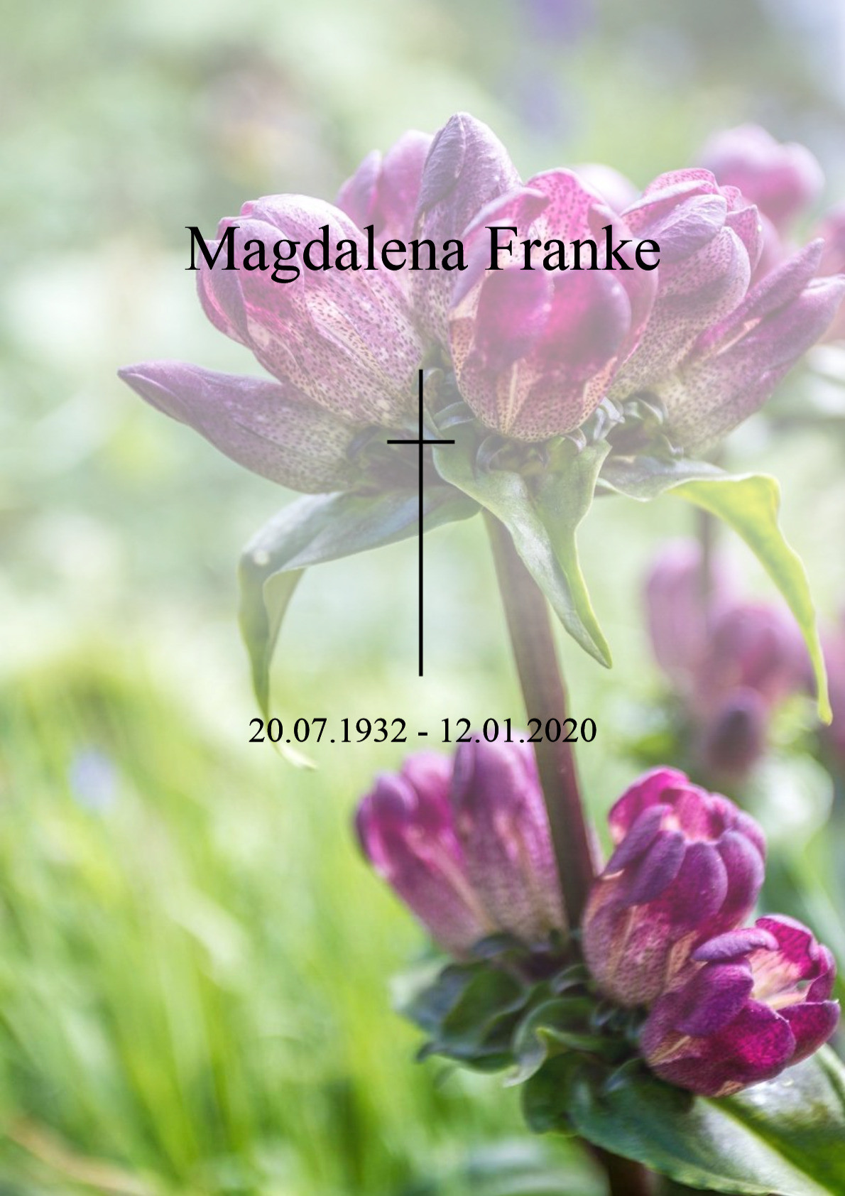 Traueranzeige von Magdalena Franke