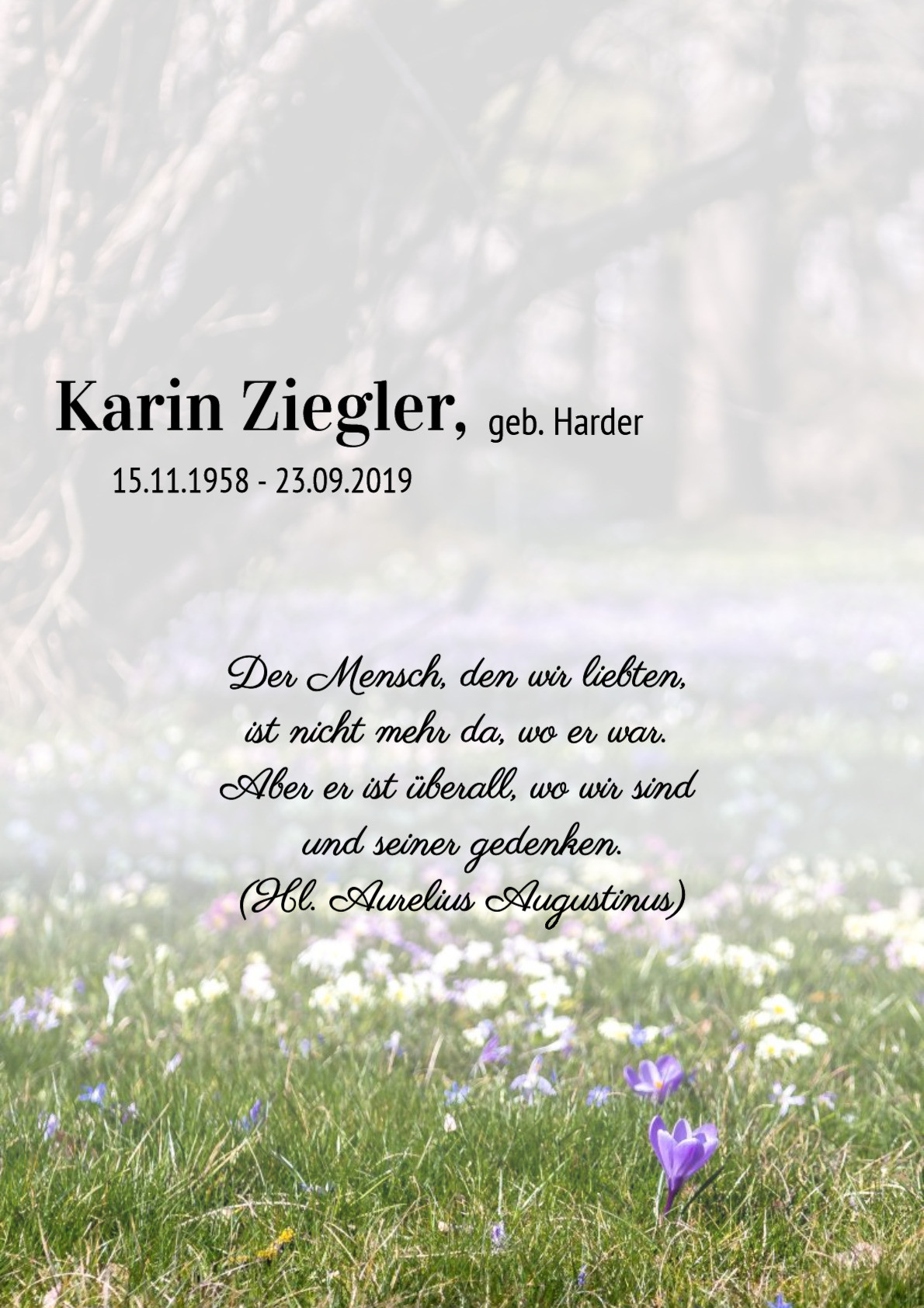 Traueranzeige von Karin Ziegler