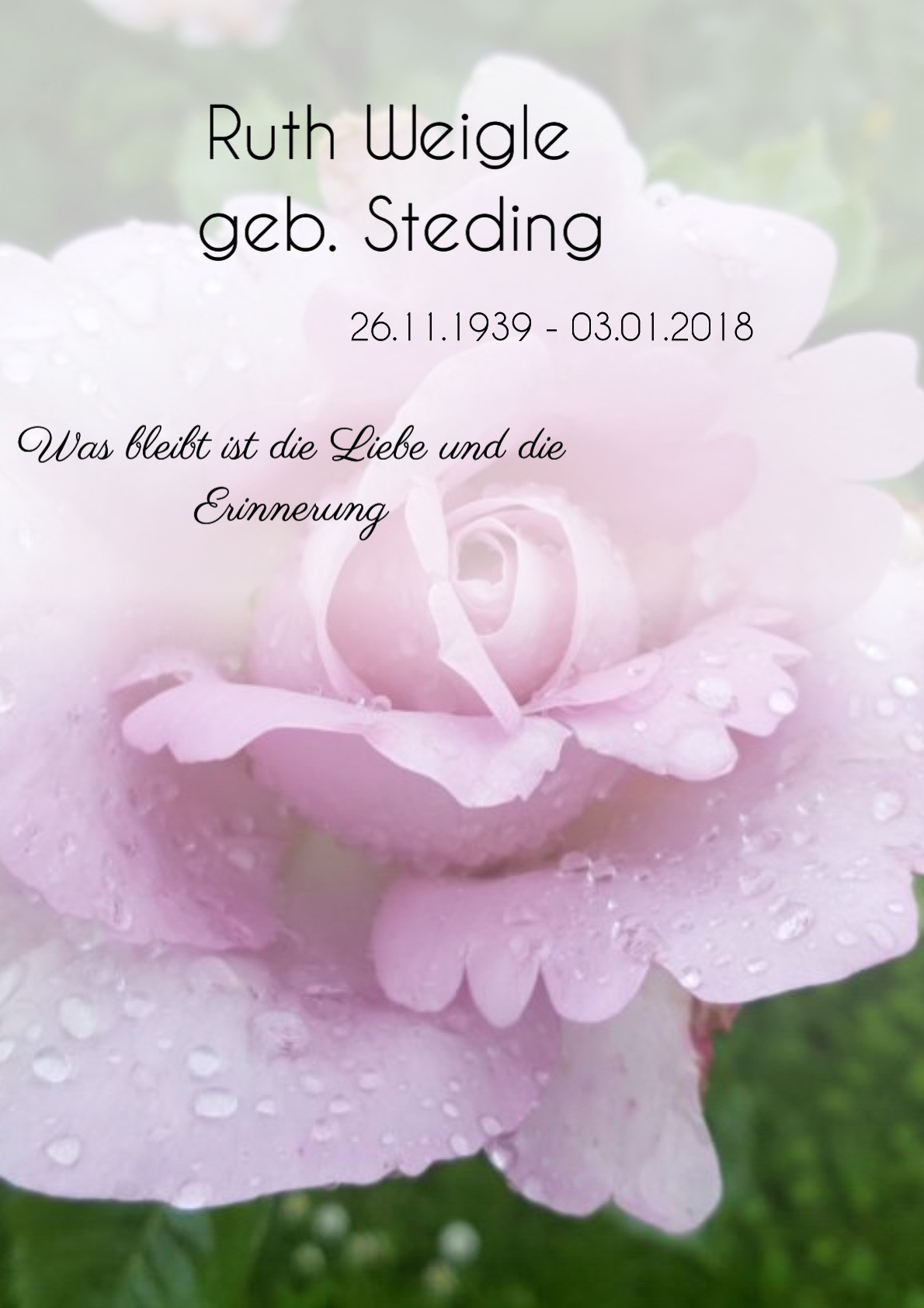 Traueranzeige von Ruth Weigle