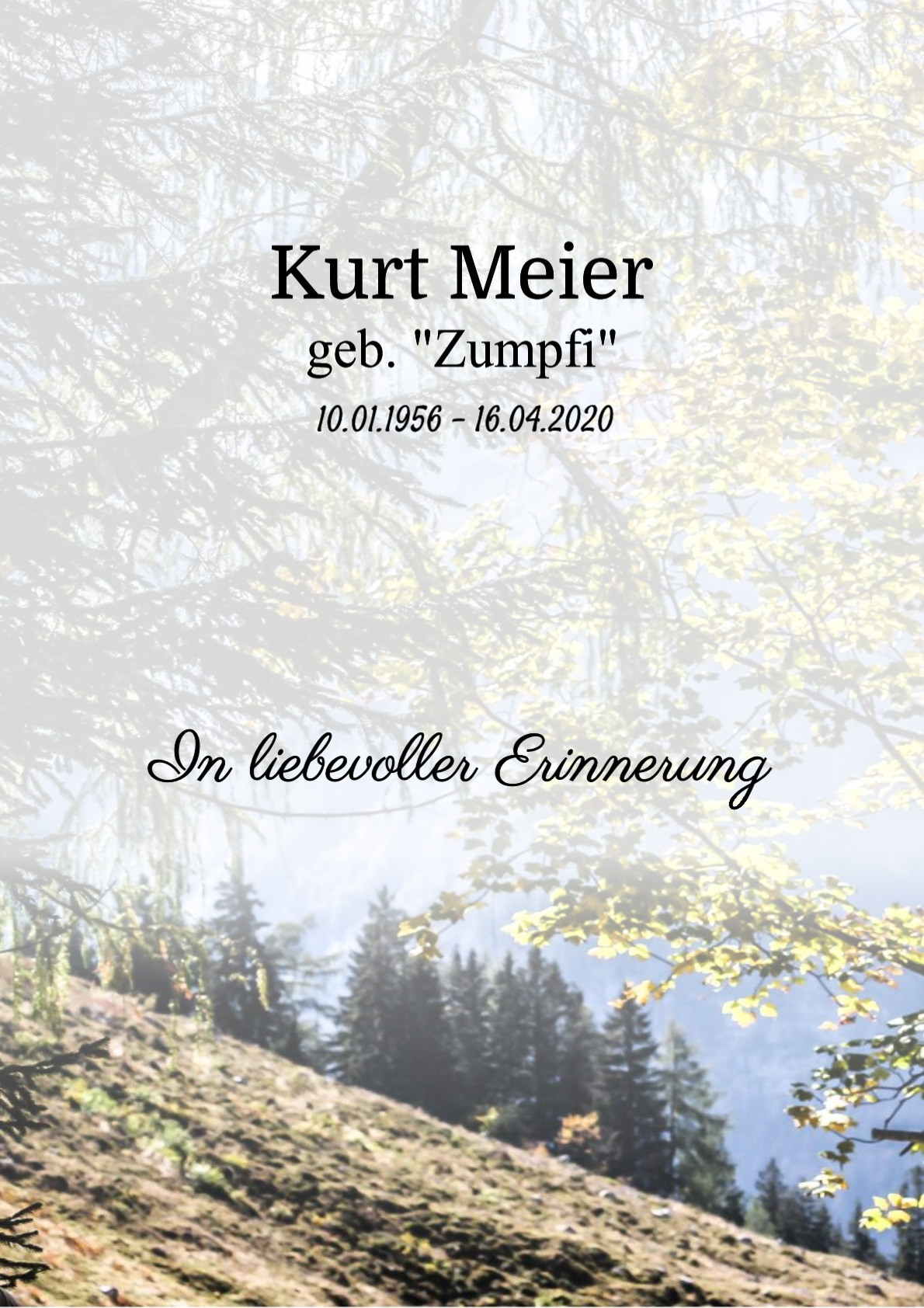 Traueranzeige von Kurt Meier