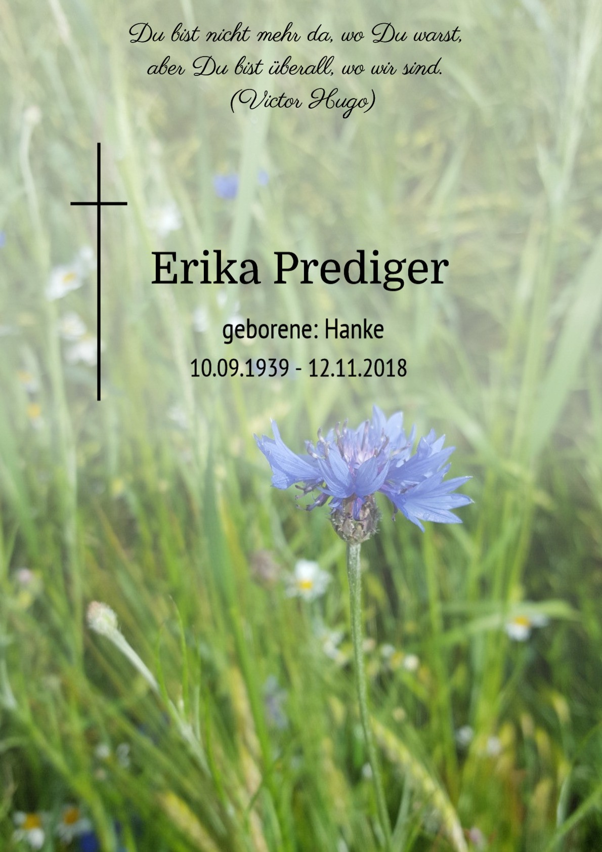 Traueranzeige von Erika Prediger