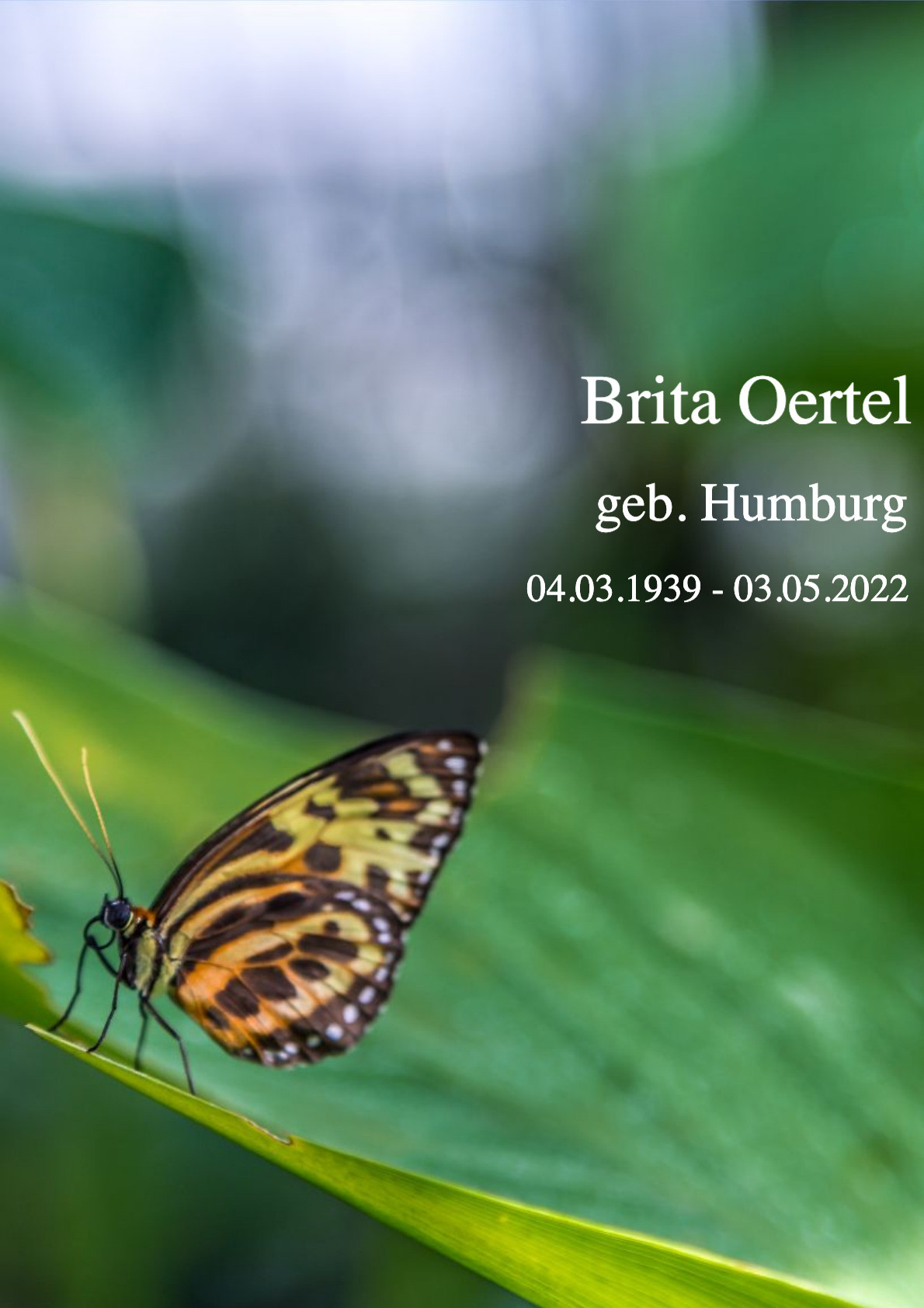 Traueranzeige von Brita Oertel