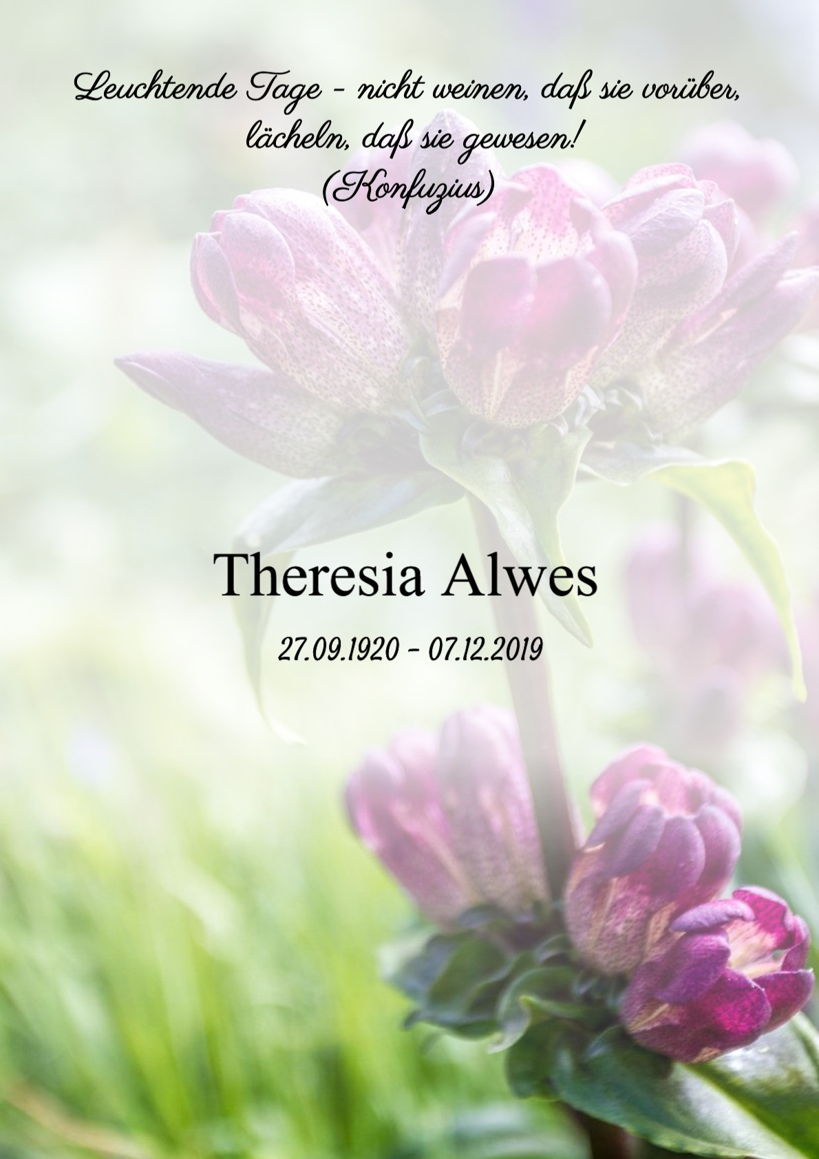 Traueranzeige von Theresia Alwes