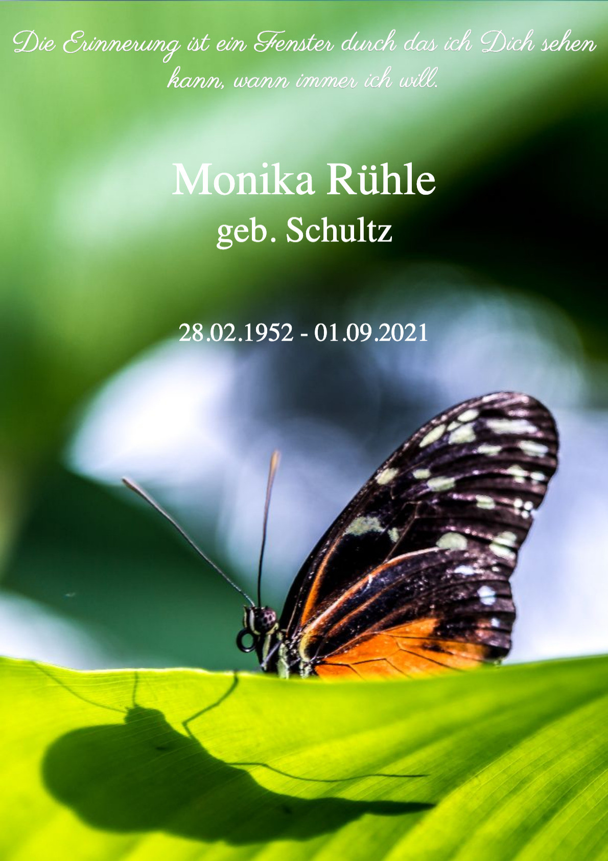 Traueranzeige von Monika Rühle