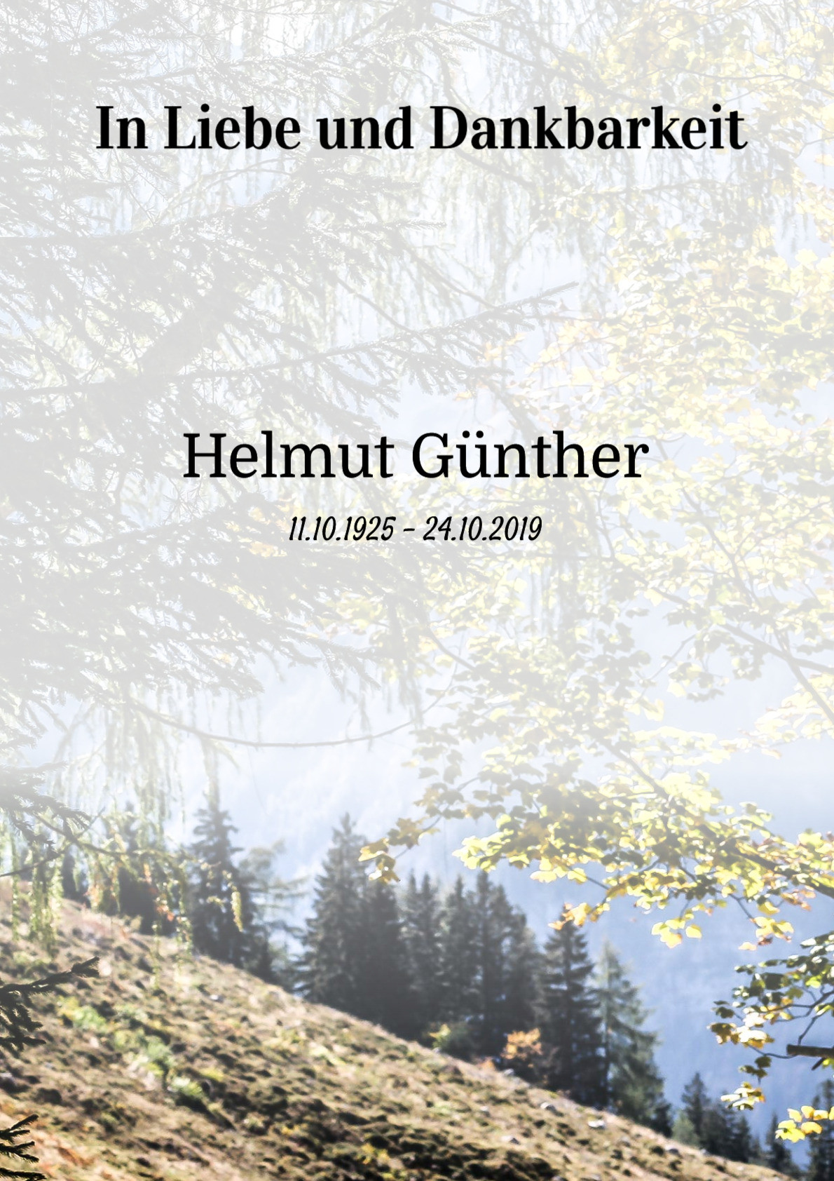 Traueranzeige von Helmut Günther