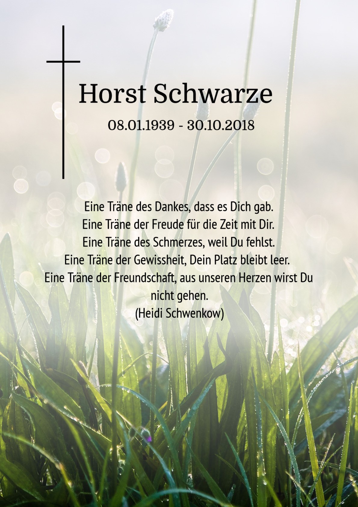 Traueranzeige von Horst Schwarze