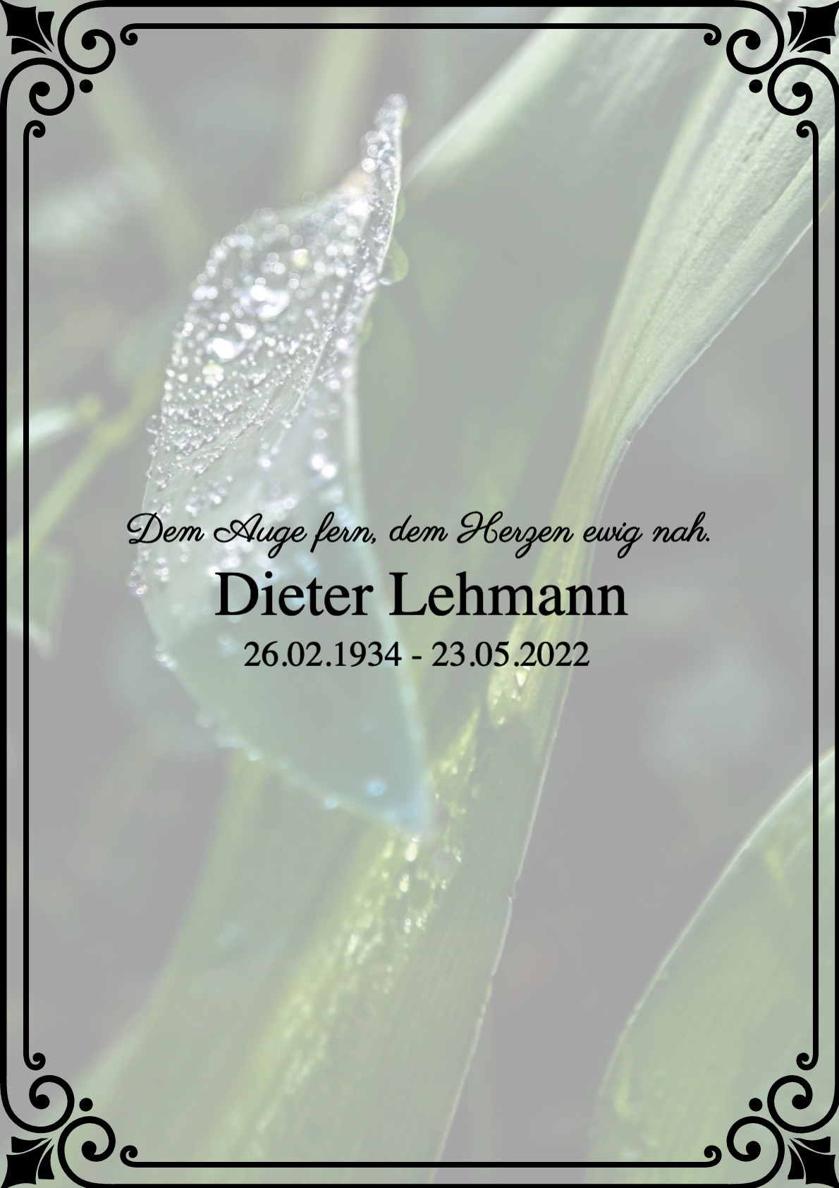 Traueranzeige von Dieter Lehmann