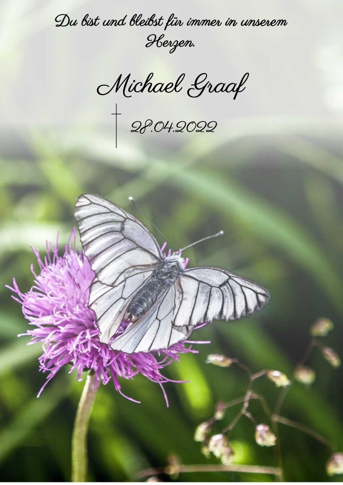 Traueranzeige von Michael Graaf