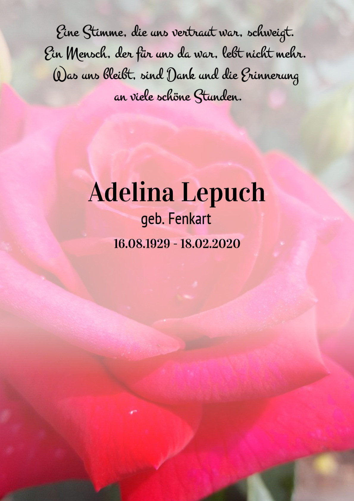 Traueranzeige von Adelina Lepuch