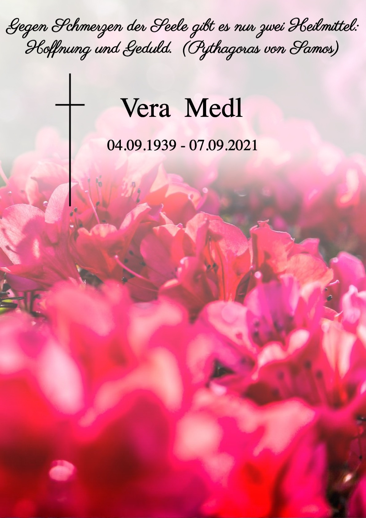 Traueranzeige von Vera Medl