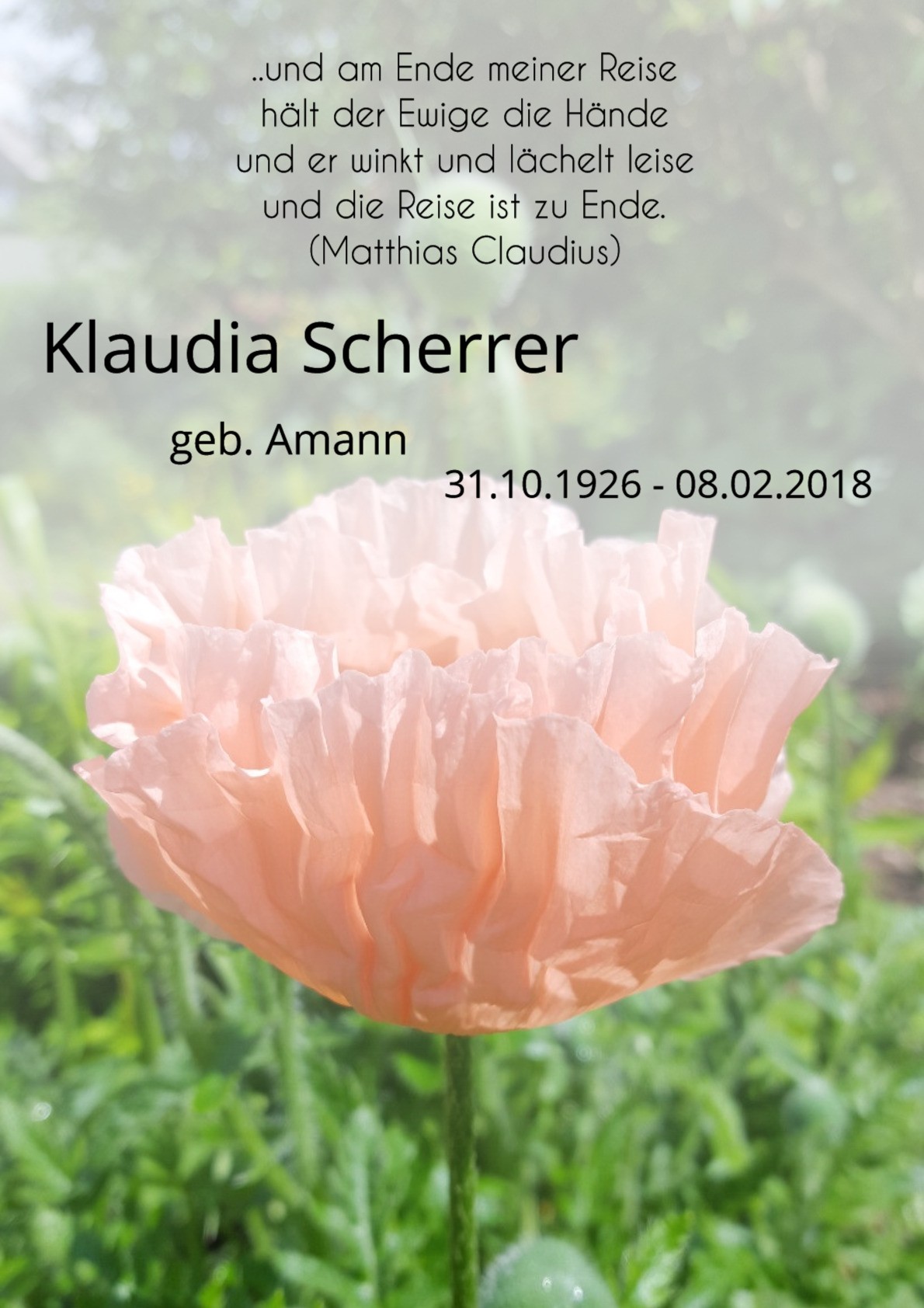 Traueranzeige von Klaudia Scherrer