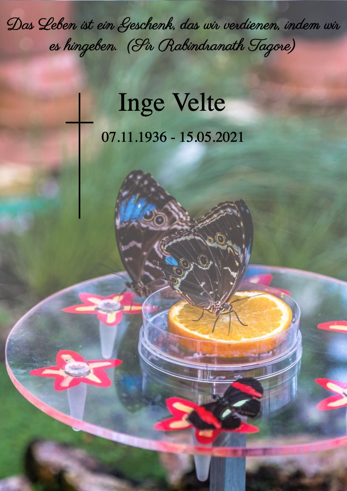 Traueranzeige von Inge Velte