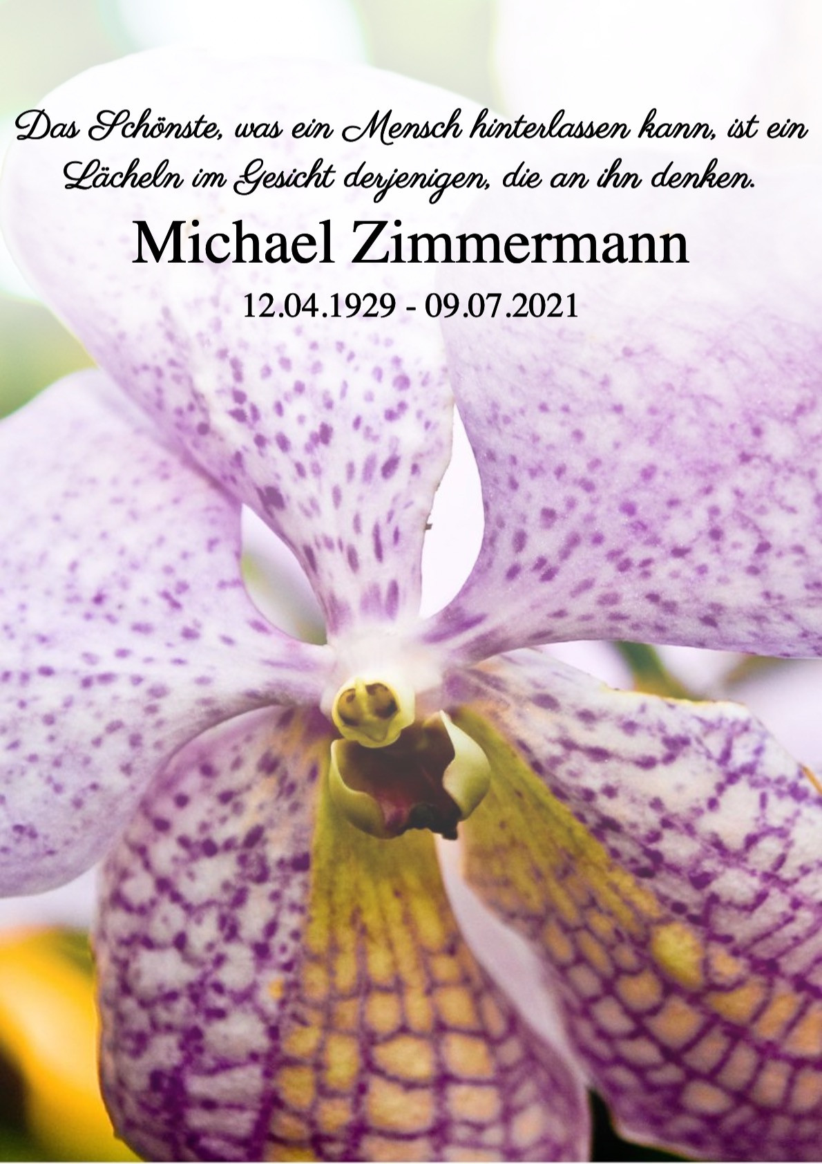 Traueranzeige von Michael Zimmermann