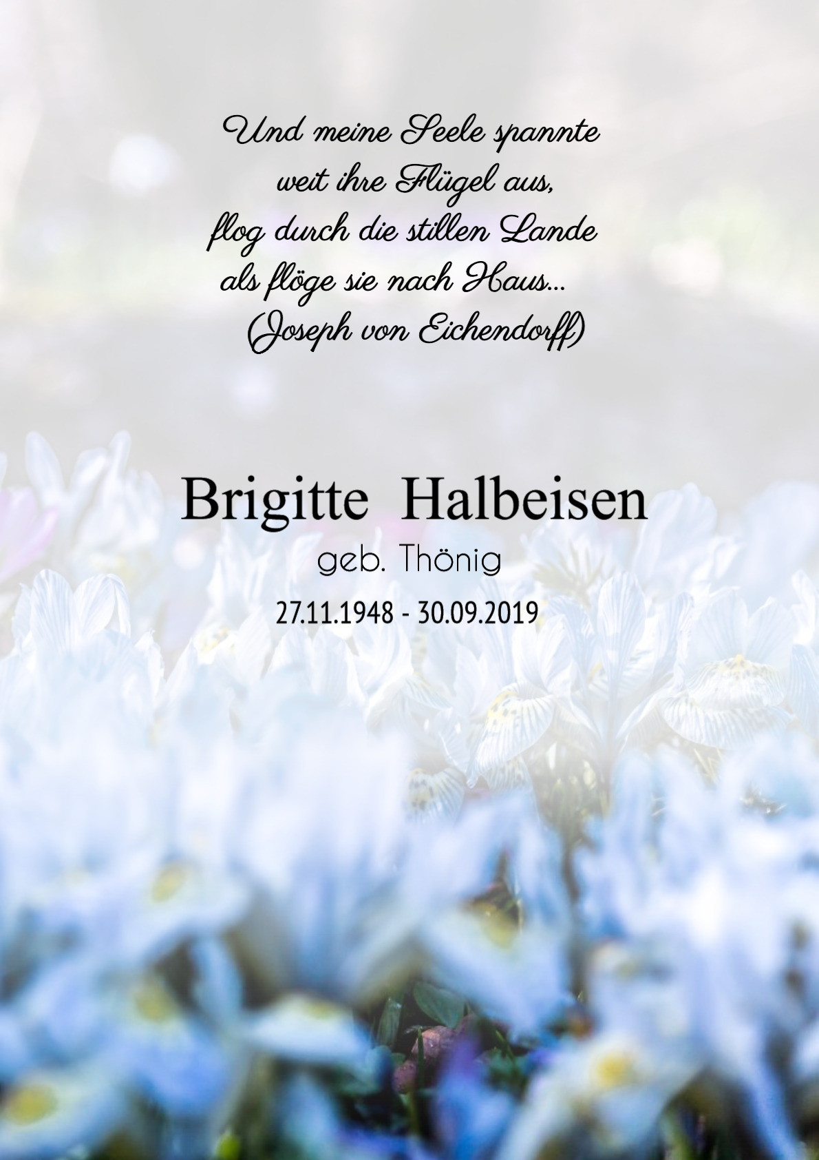 Traueranzeige von Brigitte Halbeisen