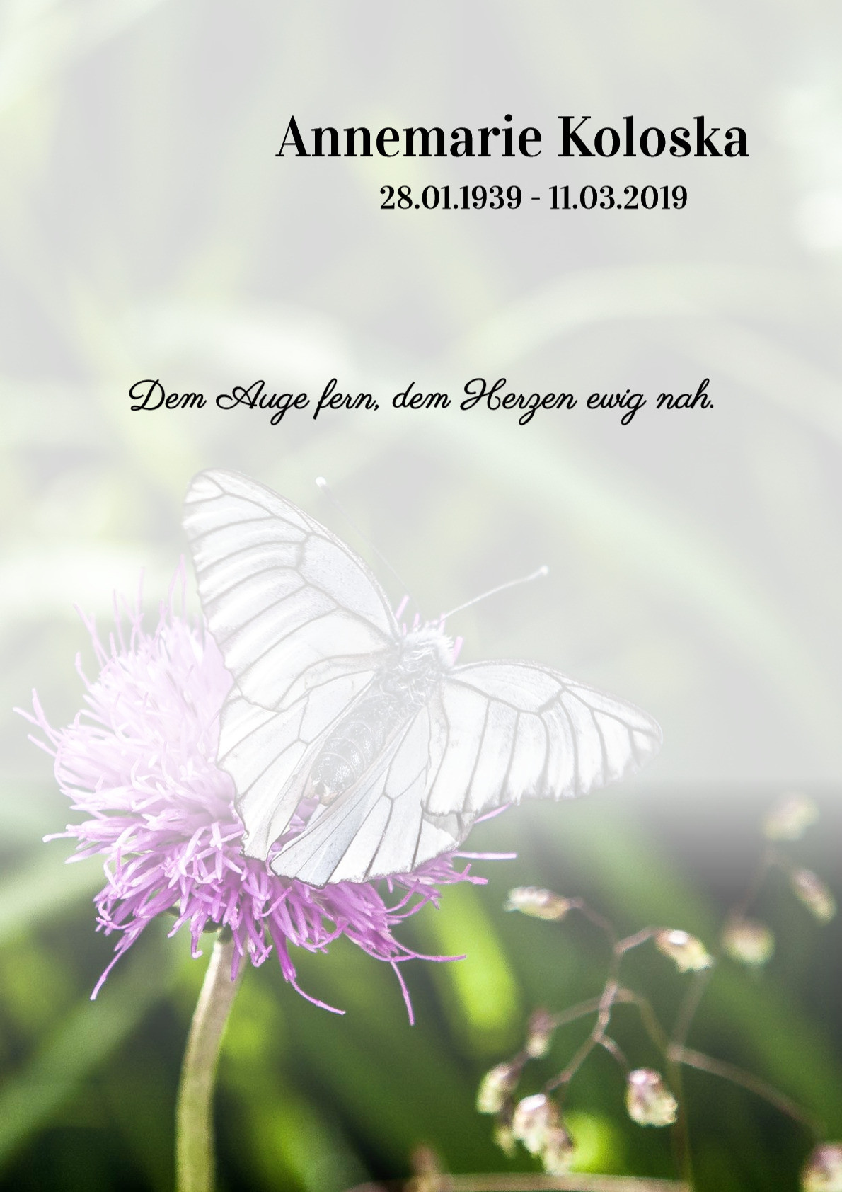 Traueranzeige von Annemarie Koloska