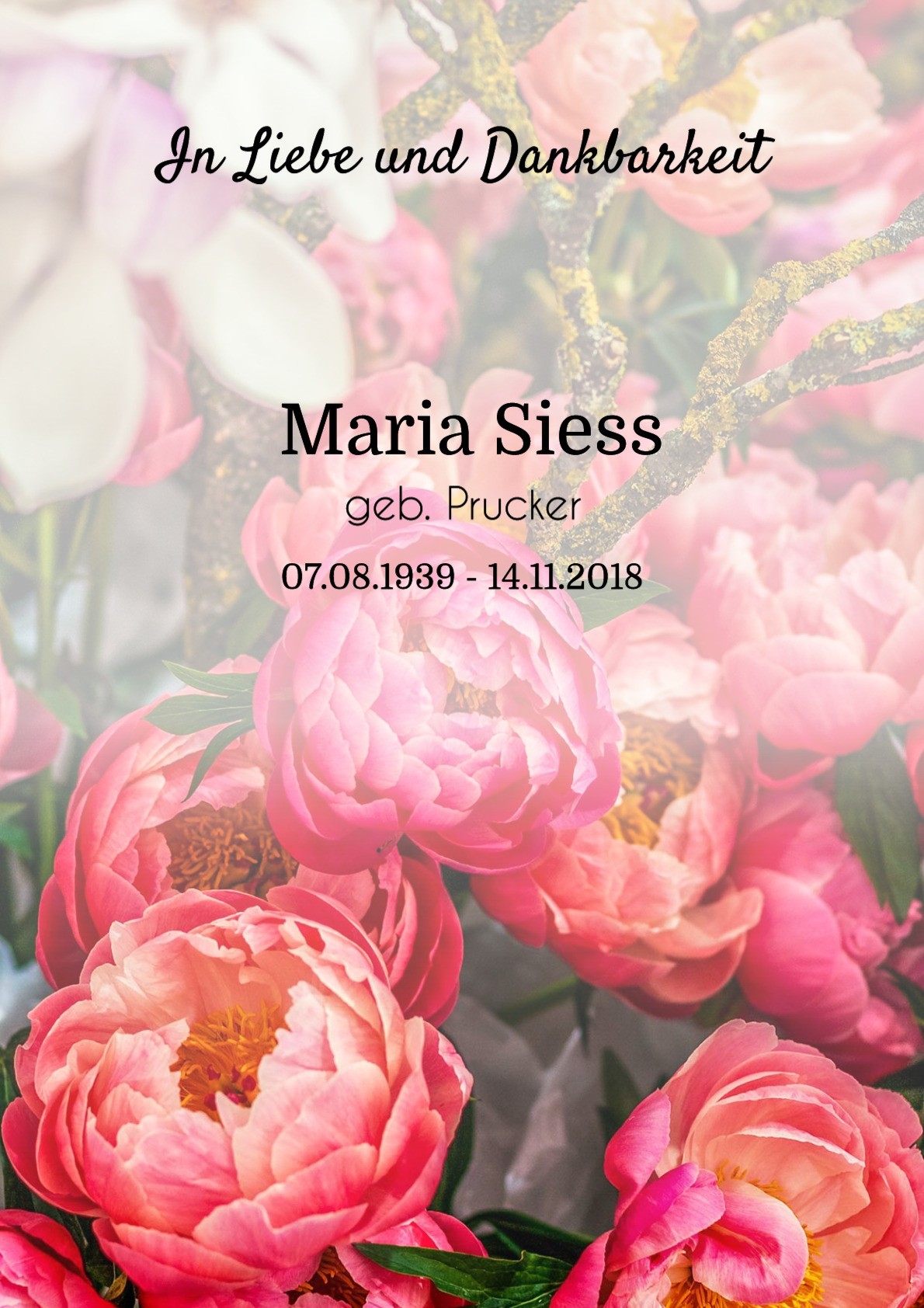 Traueranzeige von Maria Siess