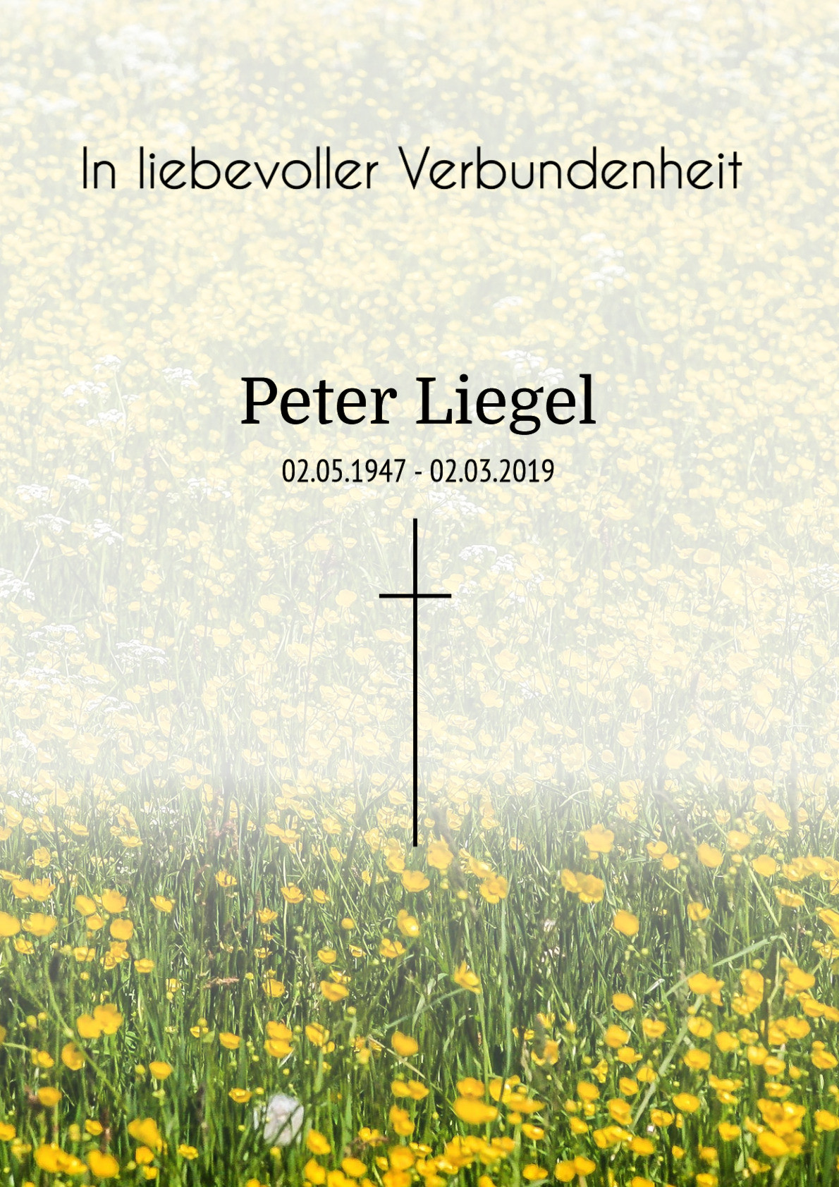 Traueranzeige von Peter Liegel
