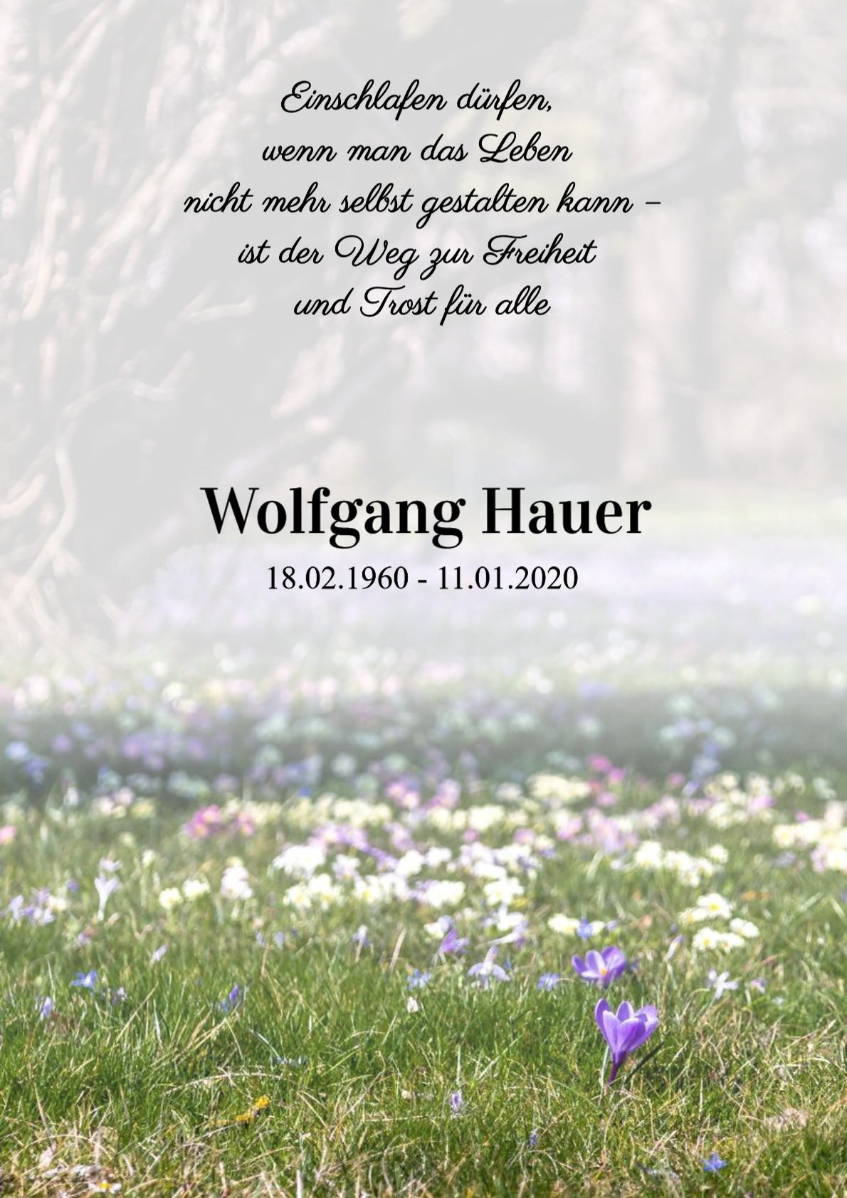 Traueranzeige von Wolfgang Hauer