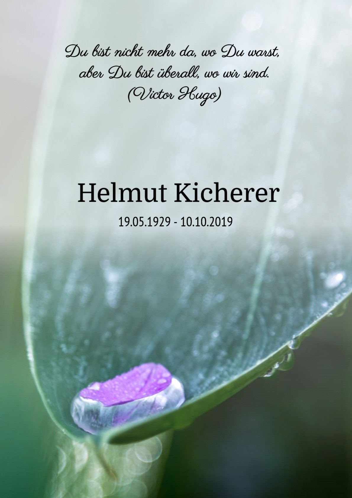 Traueranzeige von Helmut Kicherer