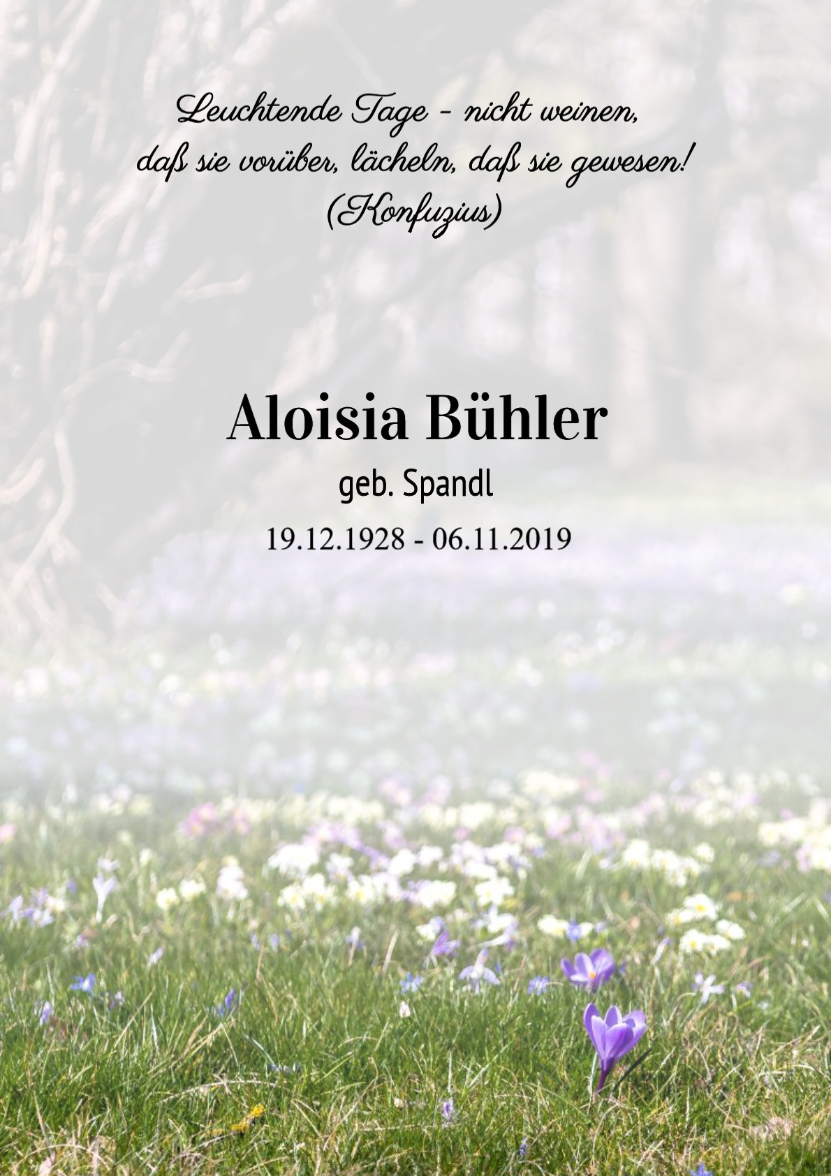 Traueranzeige von Aloisia Bühler