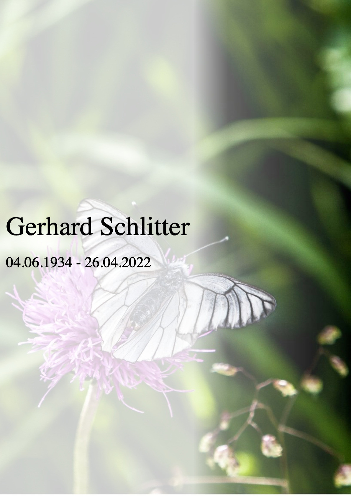 Traueranzeige von Gerhard Schlitter