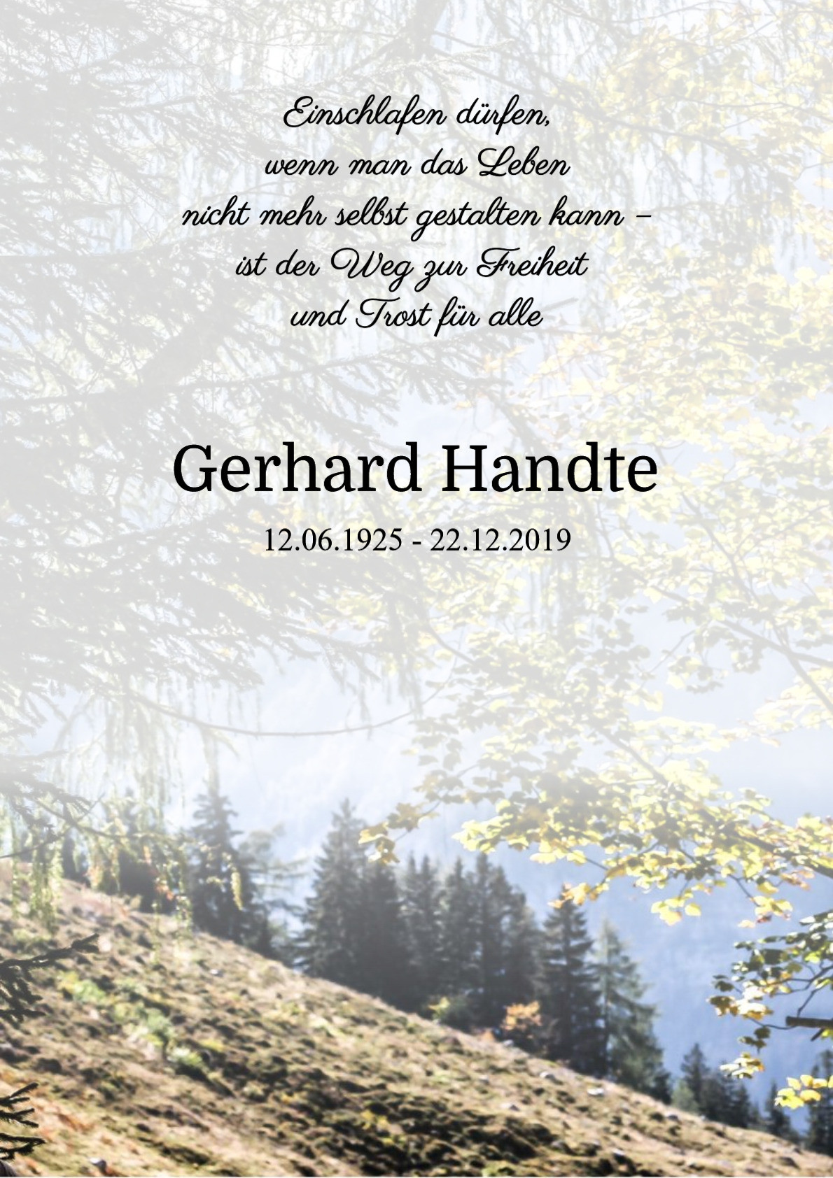 Traueranzeige von Gerhard Handte