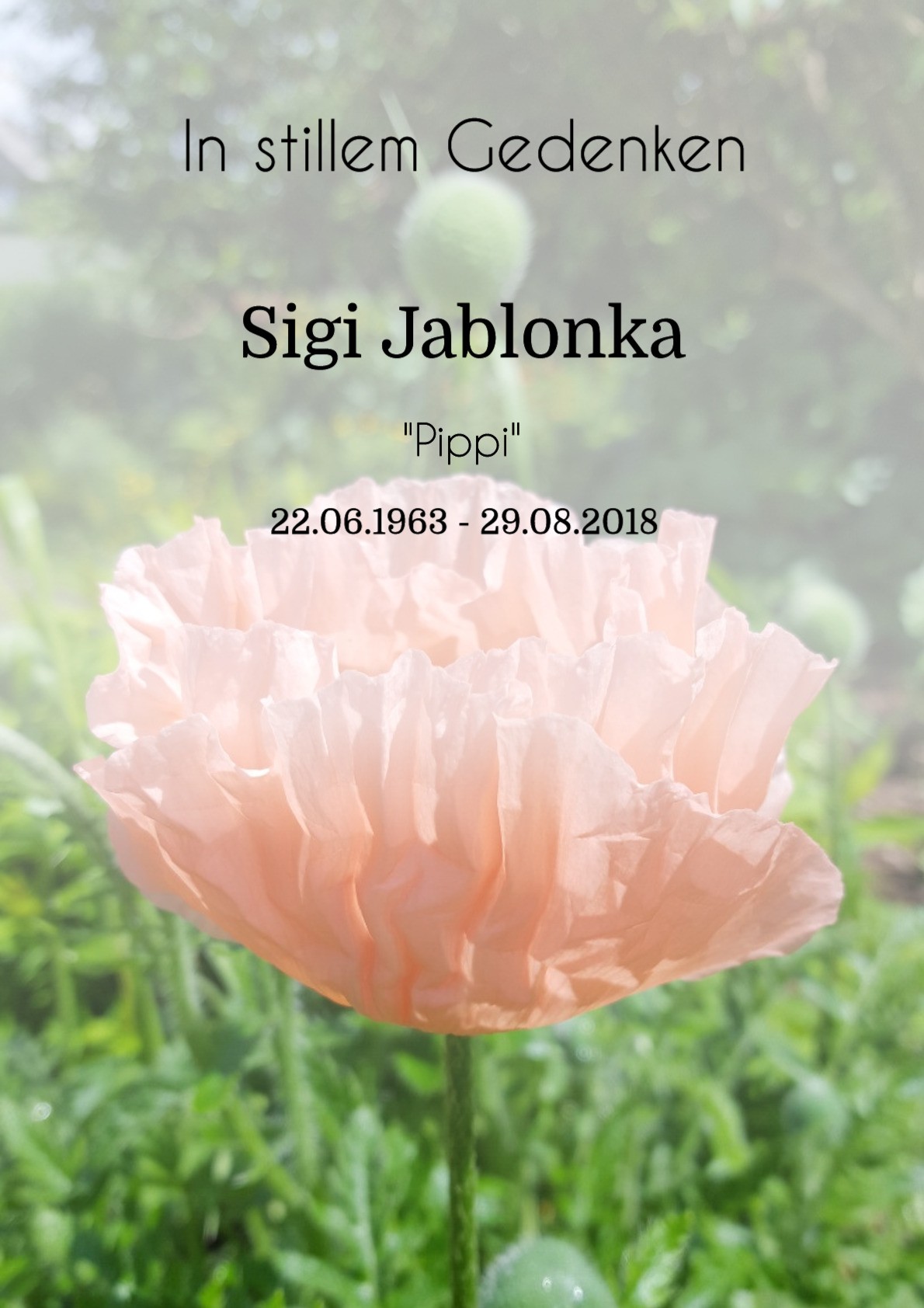 Traueranzeige von Sigi Jablonka