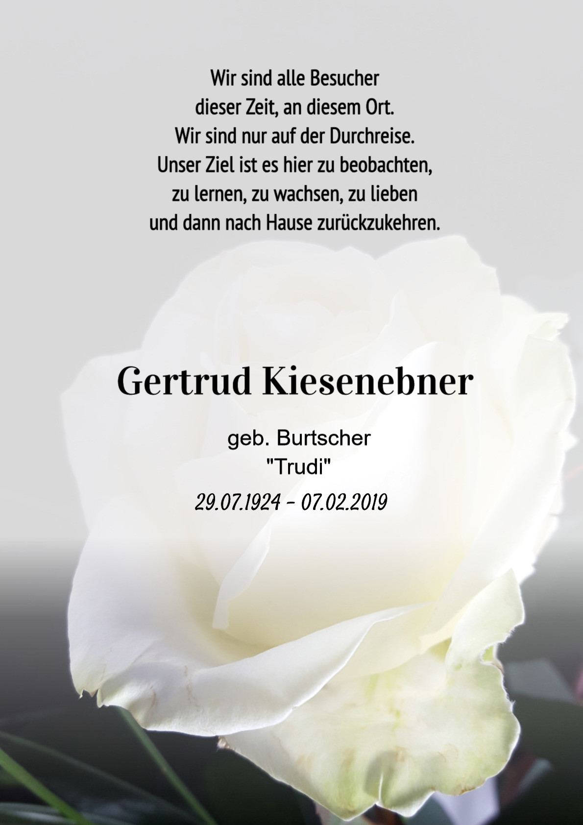 Traueranzeige von Gertrud Kiesenebner
