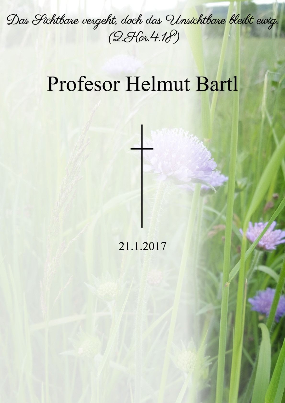 Traueranzeige von Profesor Helmut Bartl