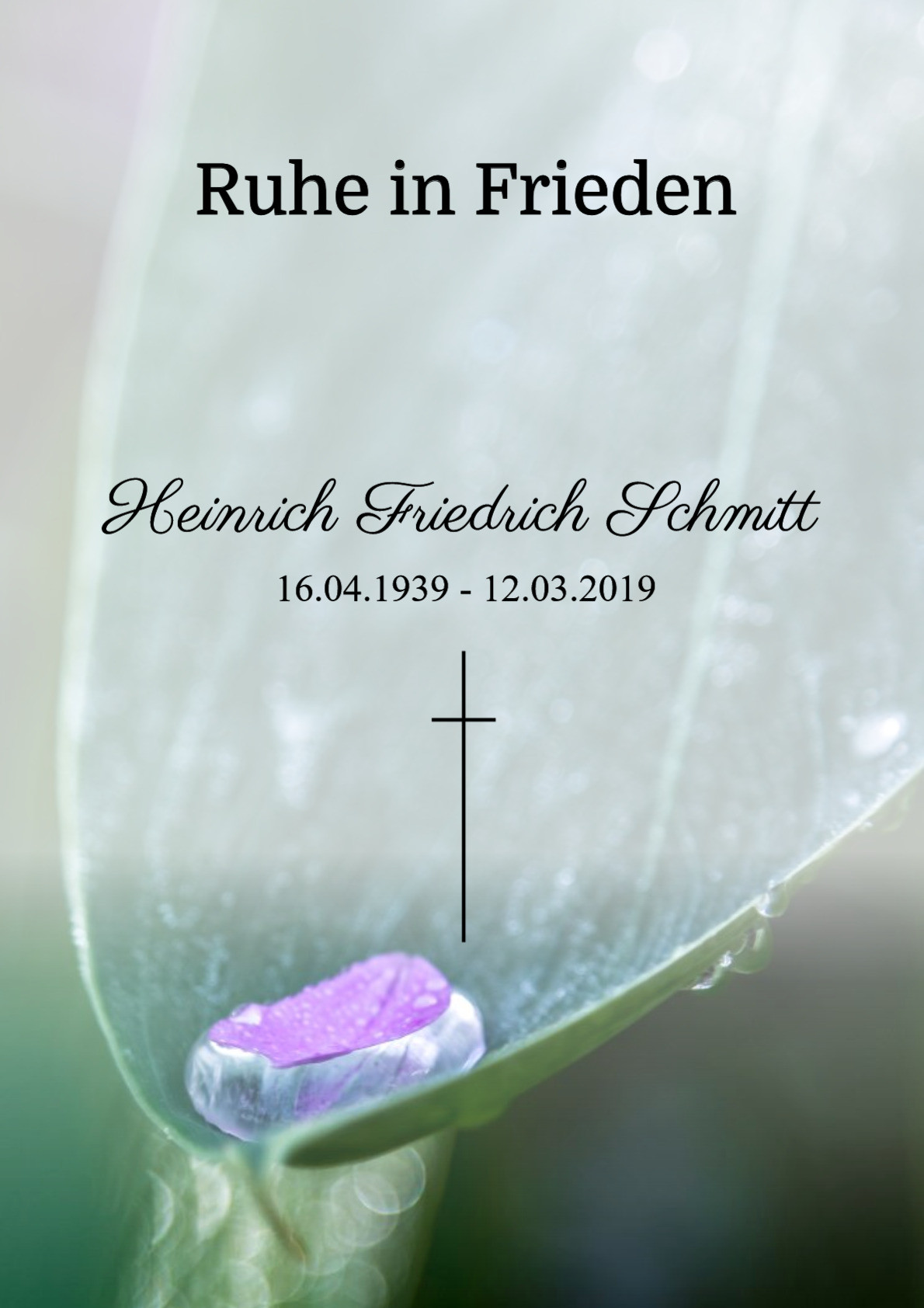 Traueranzeige von Heinrich Friedrich Schmitt