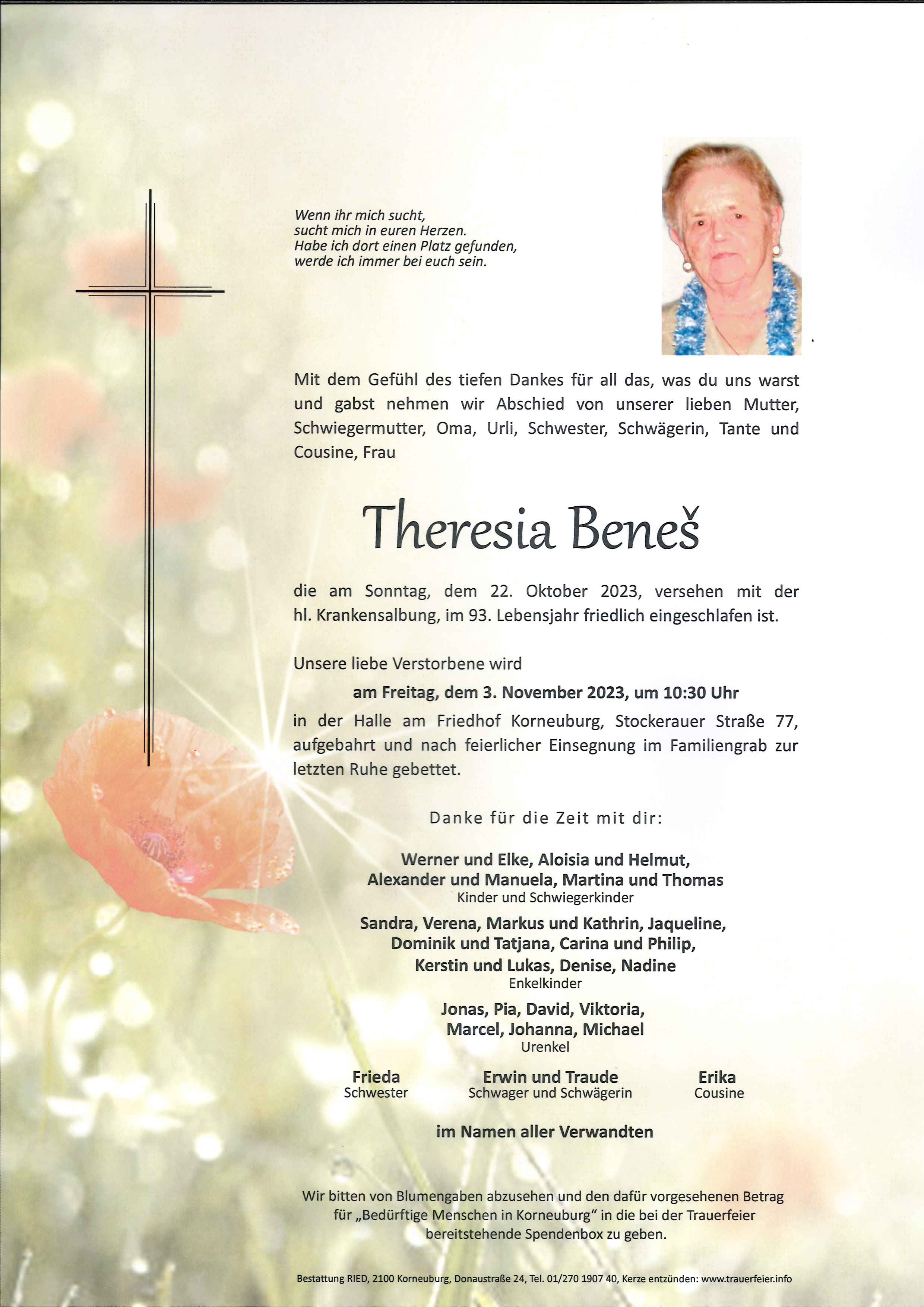 Traueranzeige von Theresia  Benes
