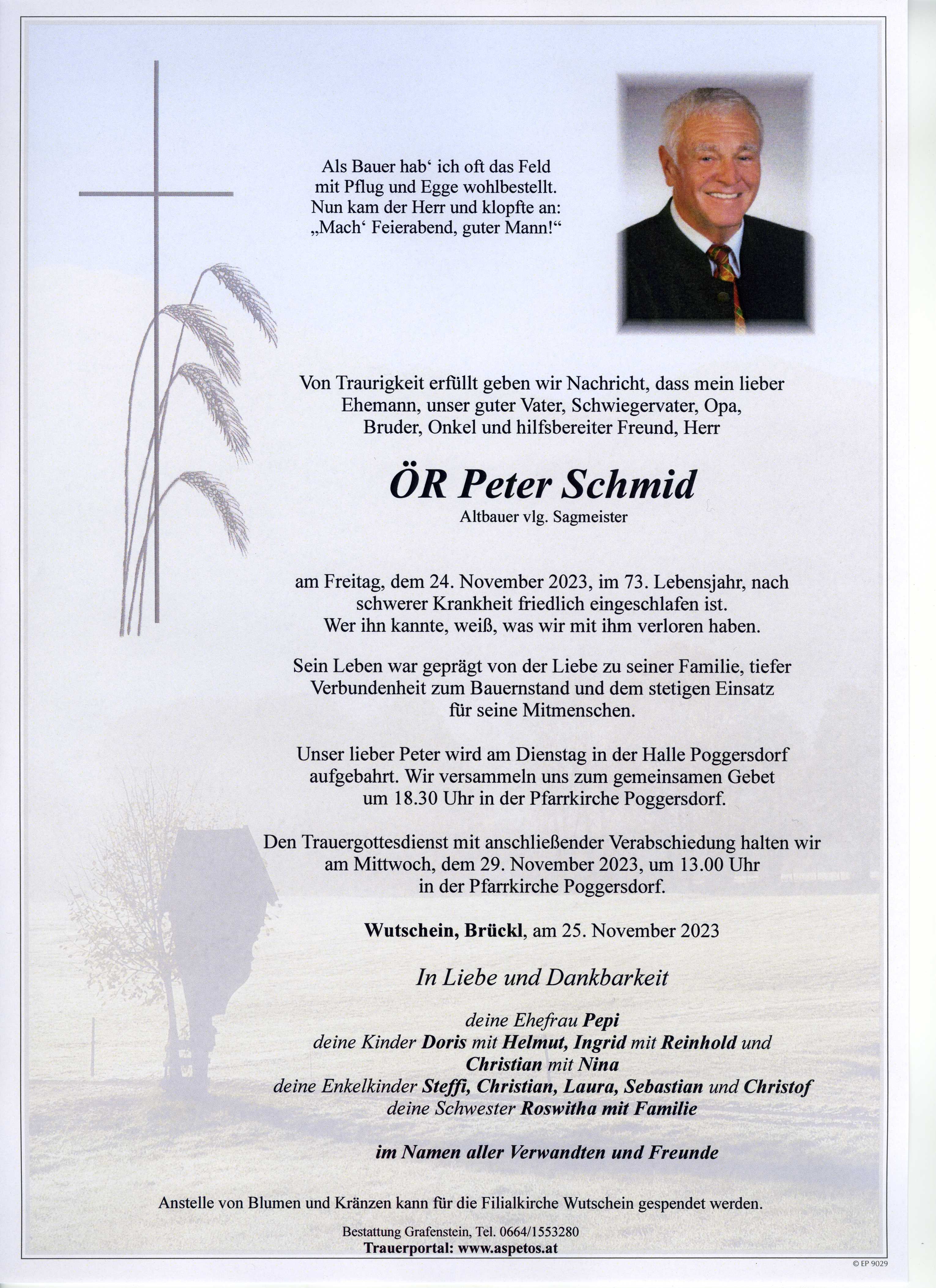 Traueranzeige von ÖR Peter Schmid