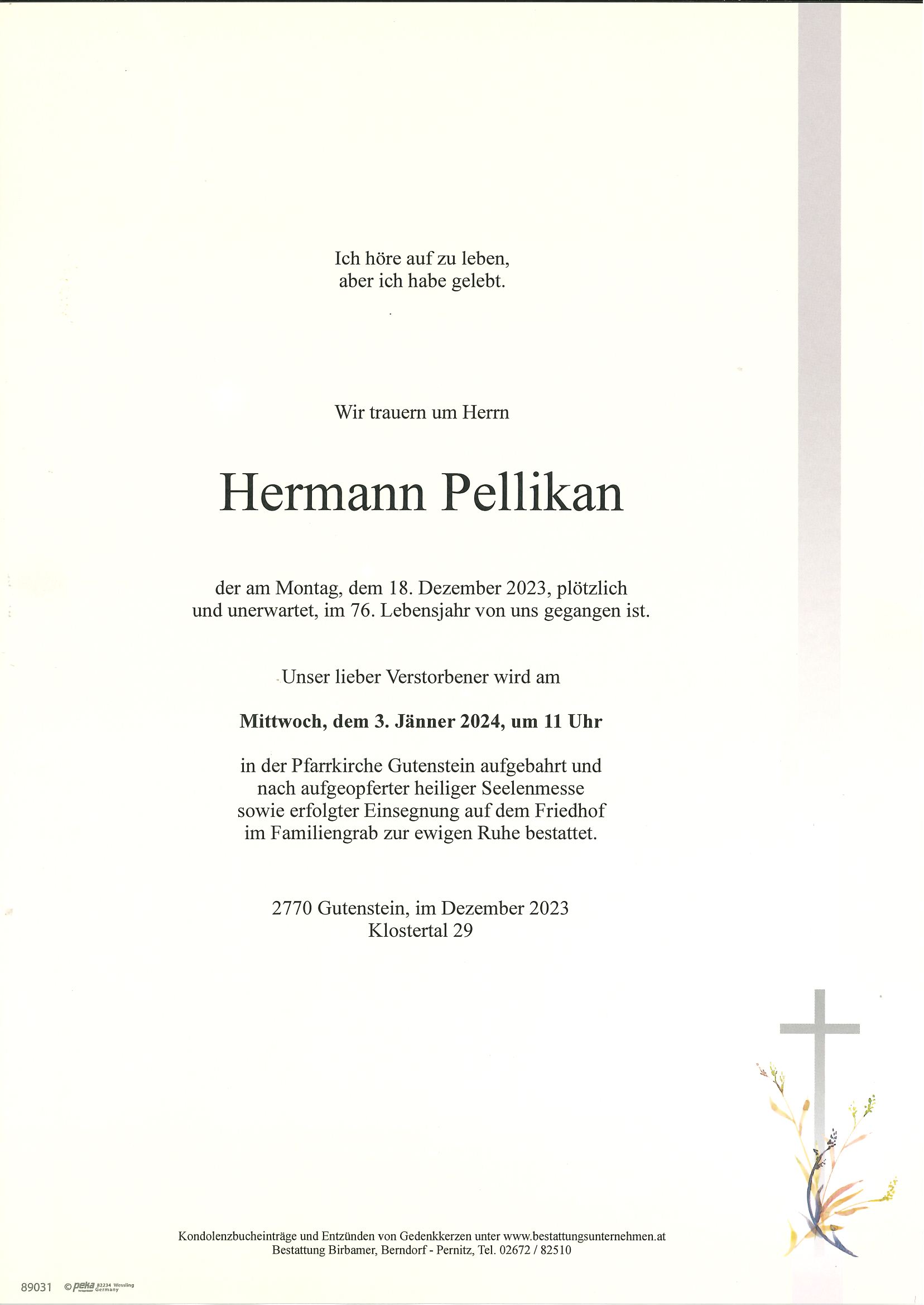 Traueranzeige von Hermann Pellikan