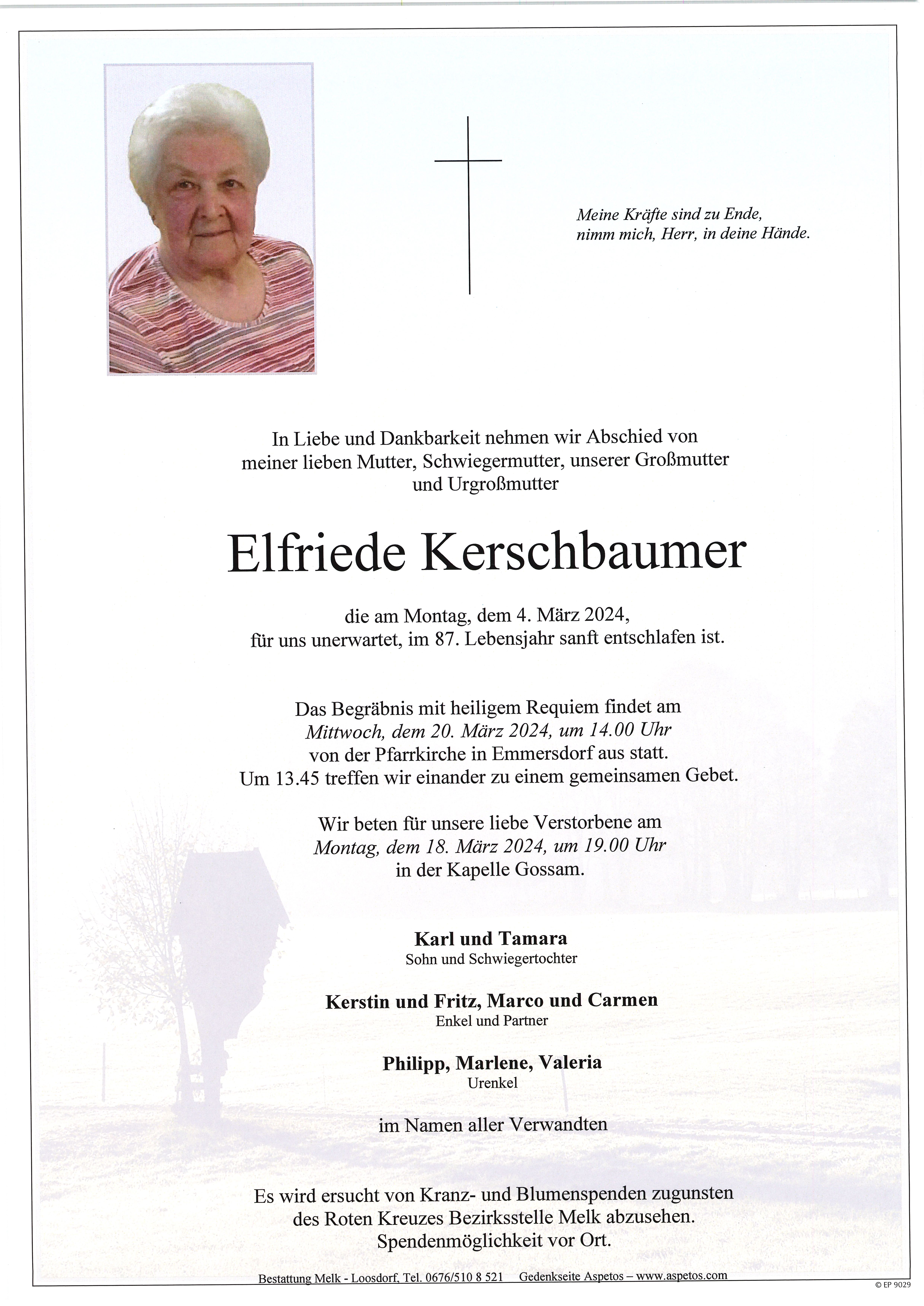 Traueranzeige von Elfriede  Kerschbaumer