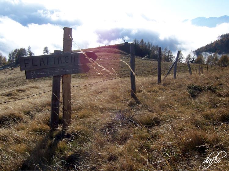 Traueranzeige von Albine Lederer