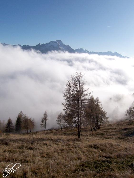 Traueranzeige von Anton Kerschbaumer