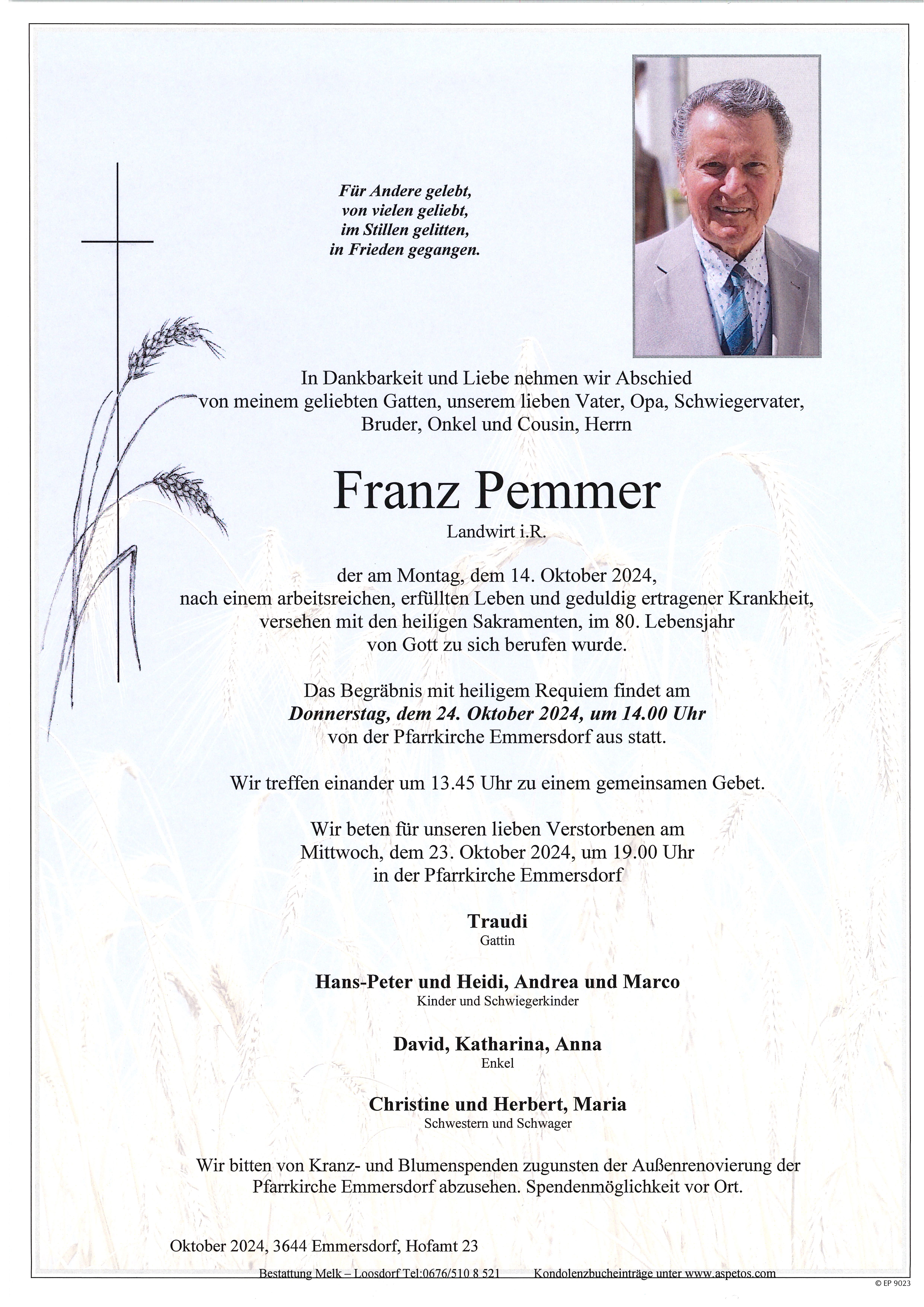 Traueranzeige von Franz Pemmer