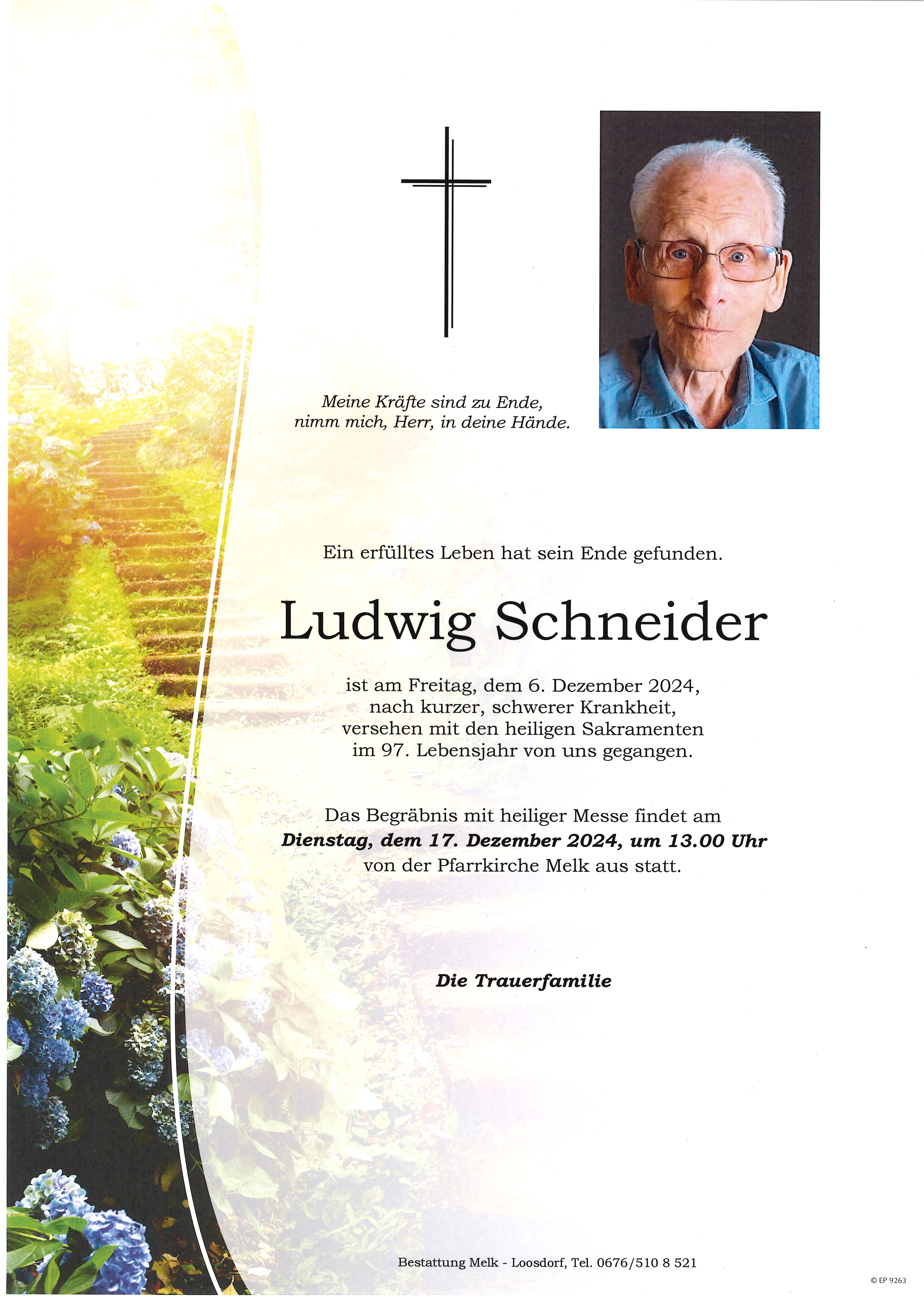 Traueranzeige von Ludwig Schneider