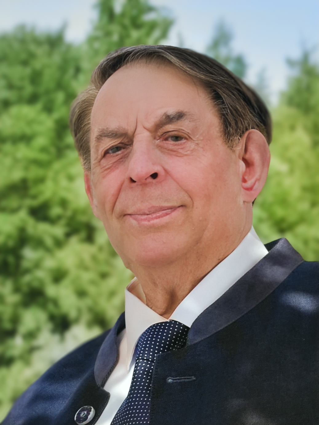 Hermann Schneider