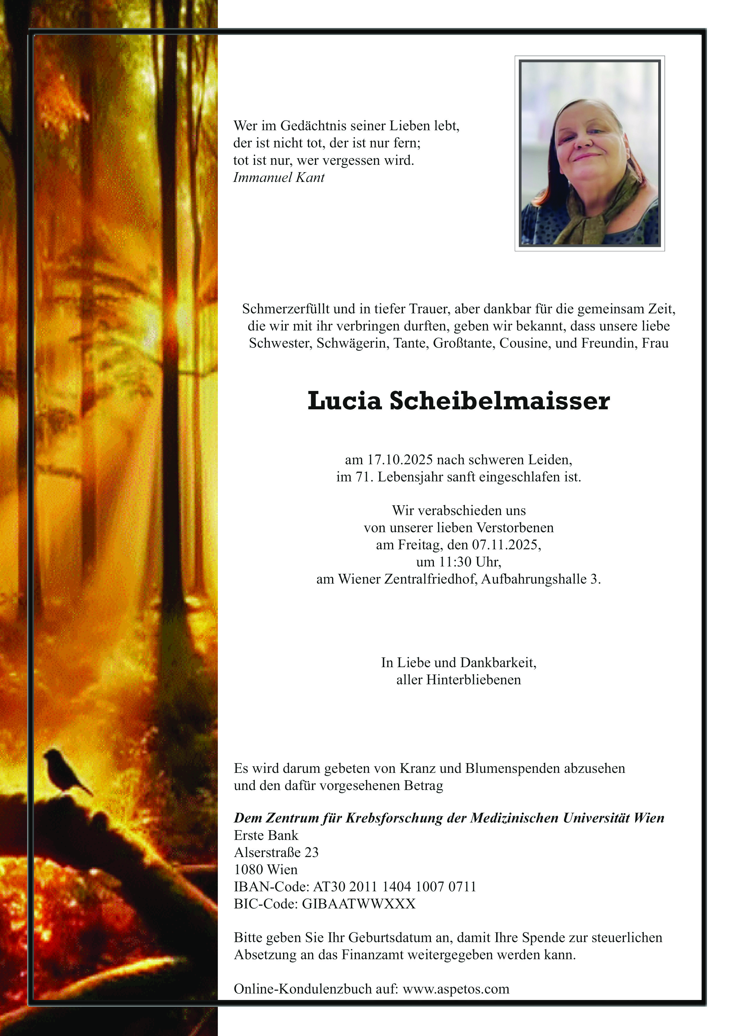 Traueranzeige von Lucia Scheibelmaisser