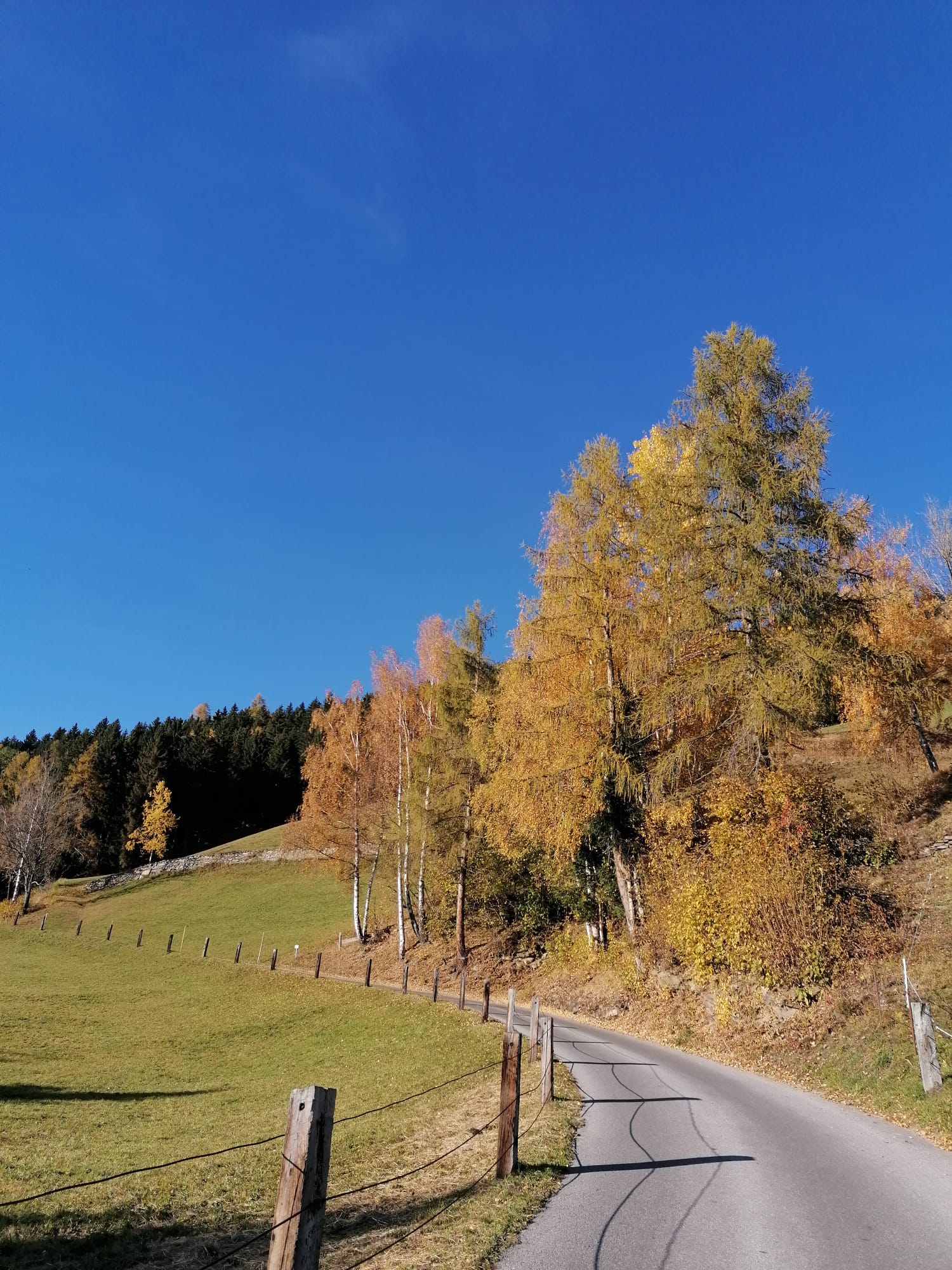 Traueranzeige von Dr Alice Schlager