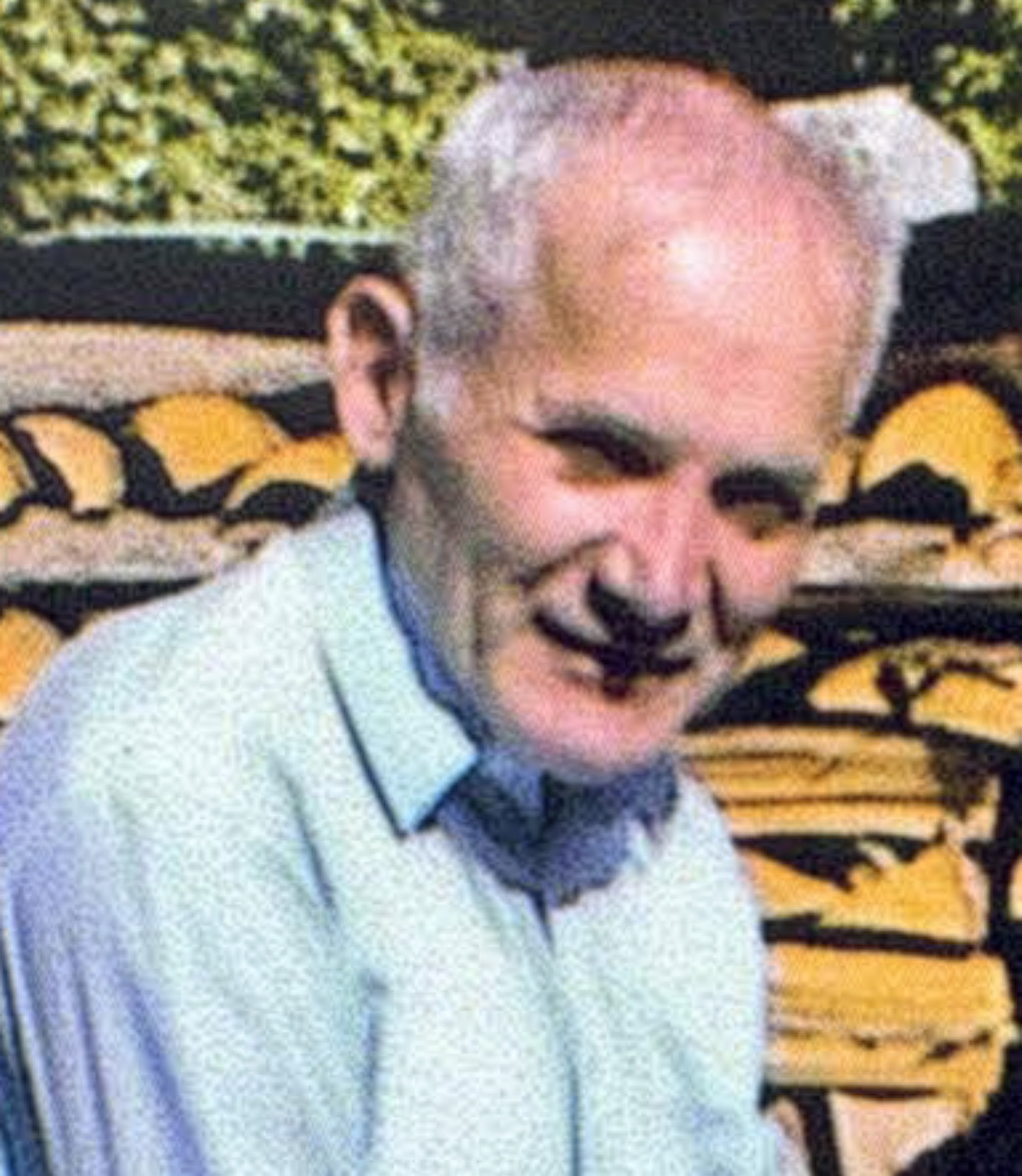 Wilhelm Wejnik