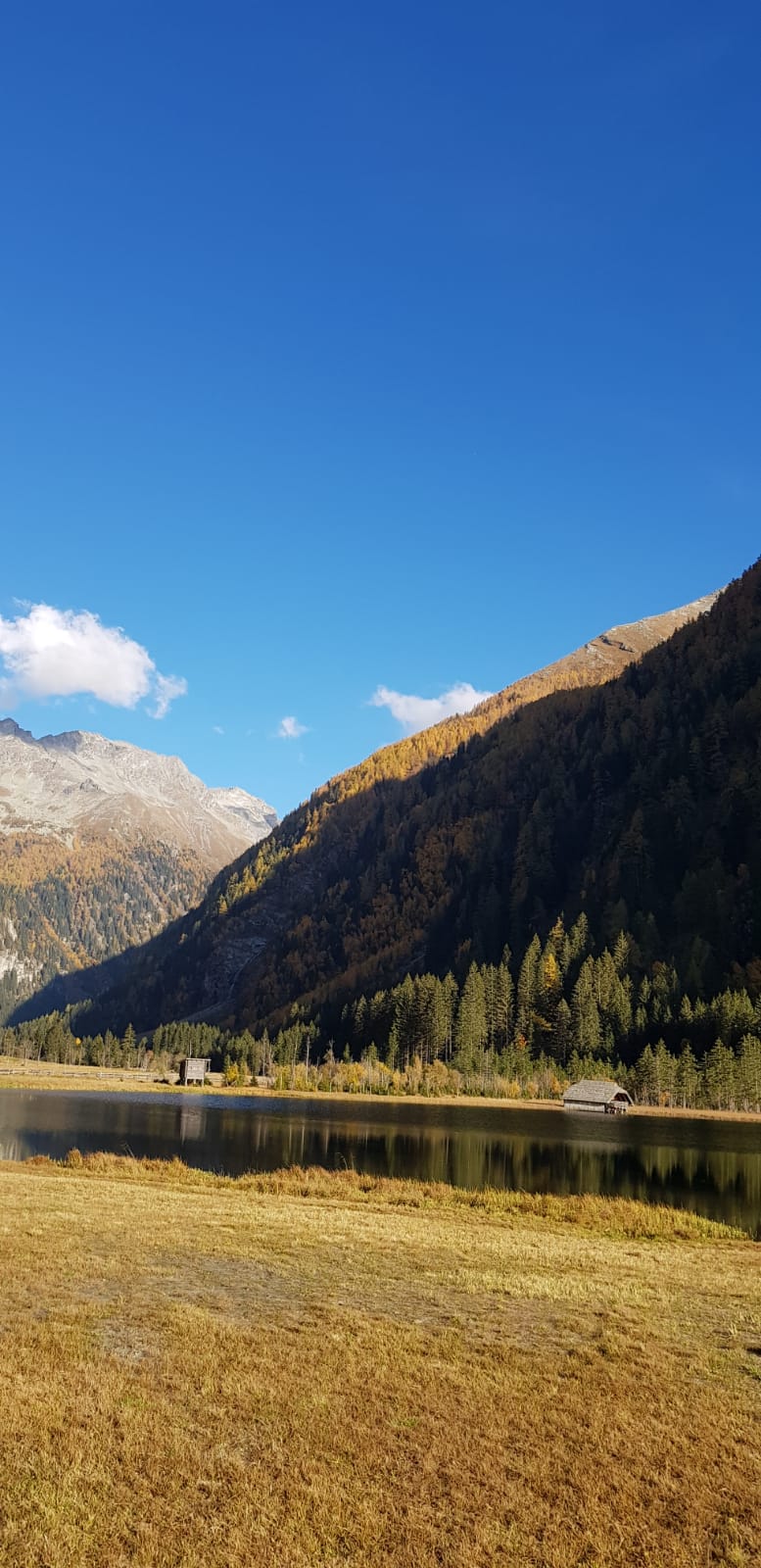 Traueranzeige von Gebhard Schwarzenbacher